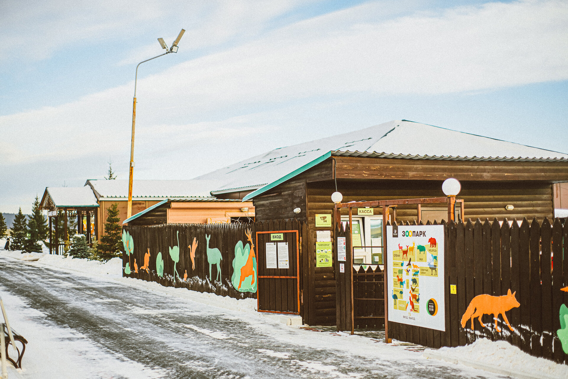 Фото Белая лошадь