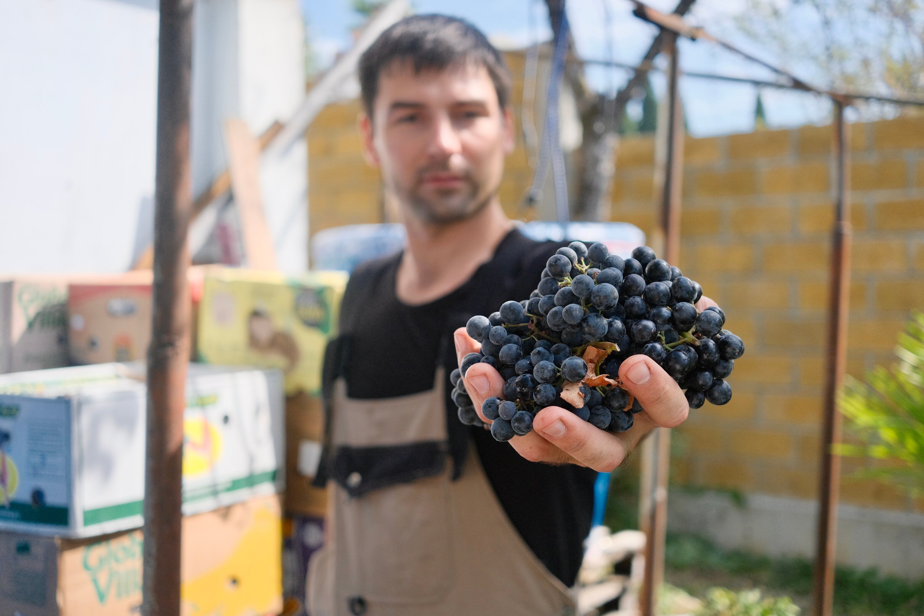 Фото Келешбей