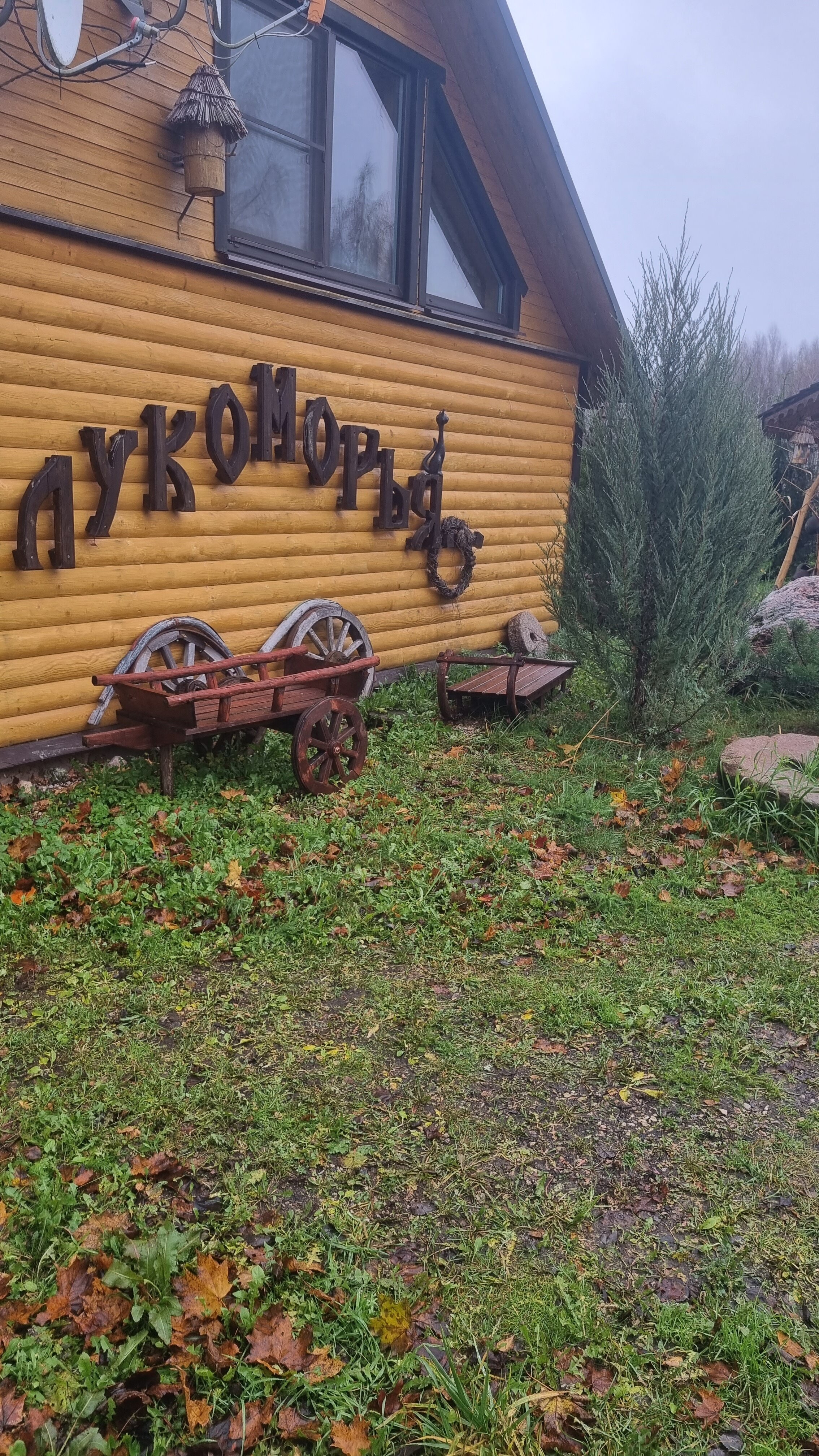 Фото У Лукоморья