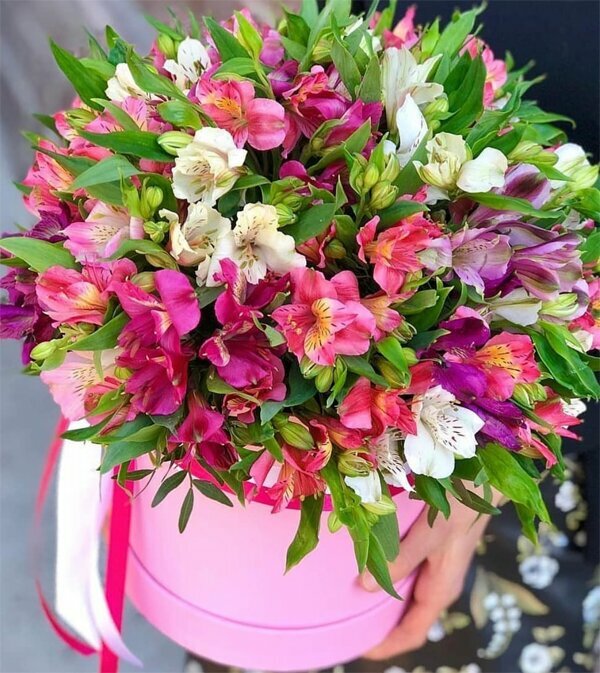 Flowers and bouquets delivery Kemer Florist - Kemer Florist - Kemer Flower Delivery, Kemer, photo