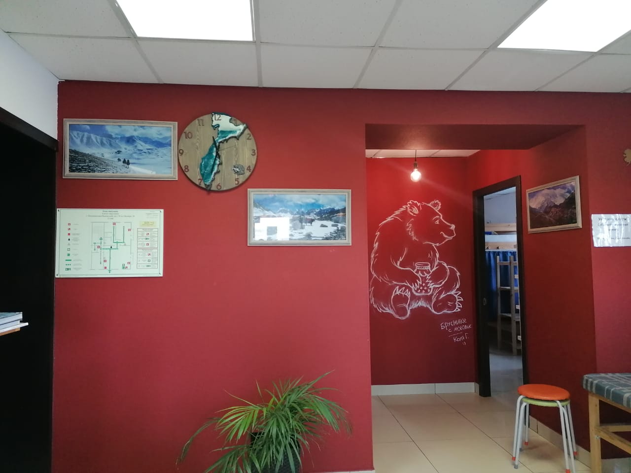 Фото Брусника