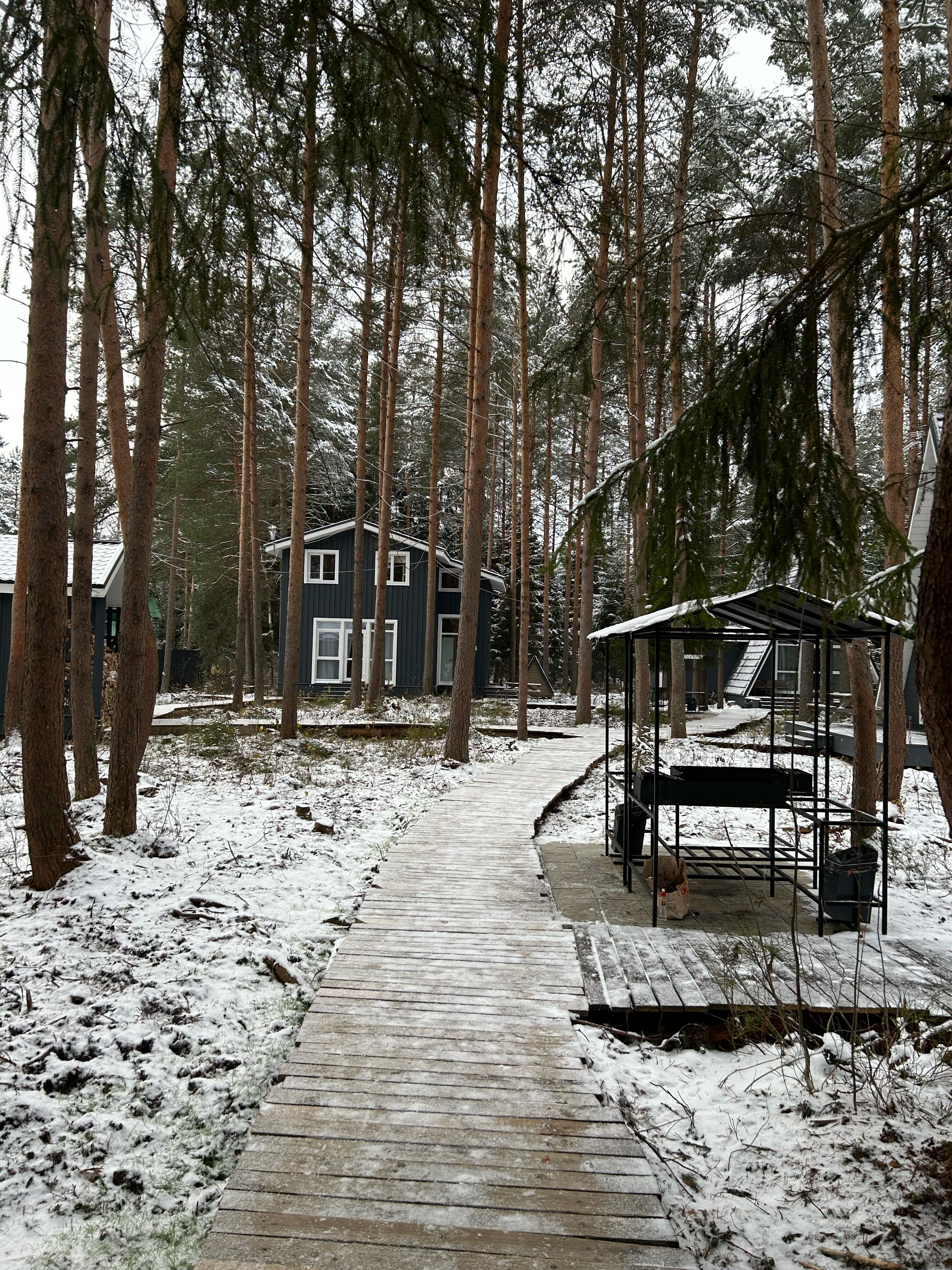 Фото Пикник 2.0