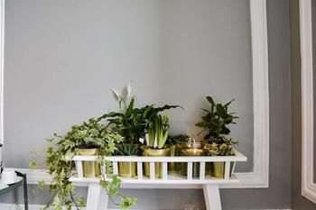 Фото Hygge Lisbon Suites