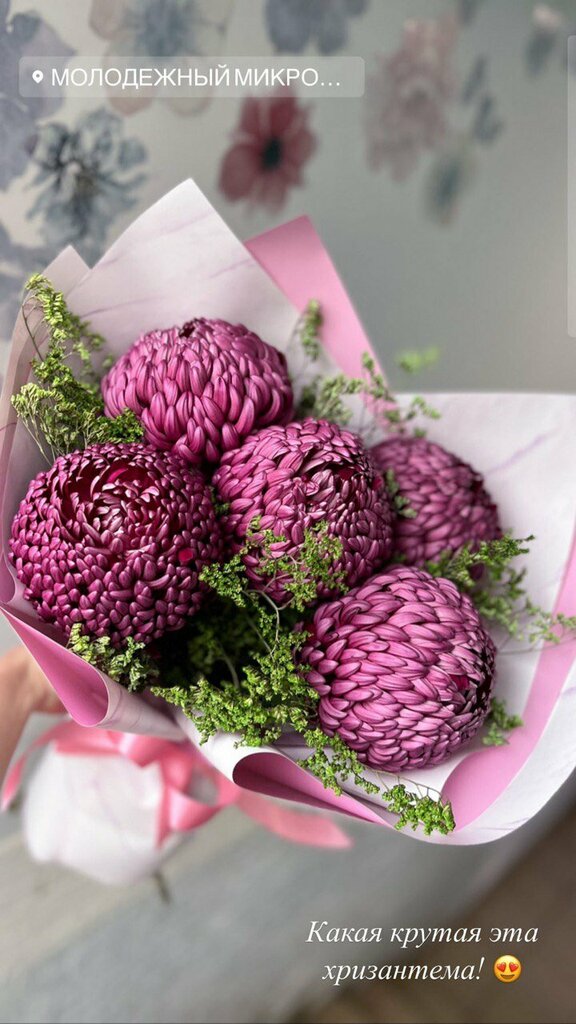 Юлия Смелых