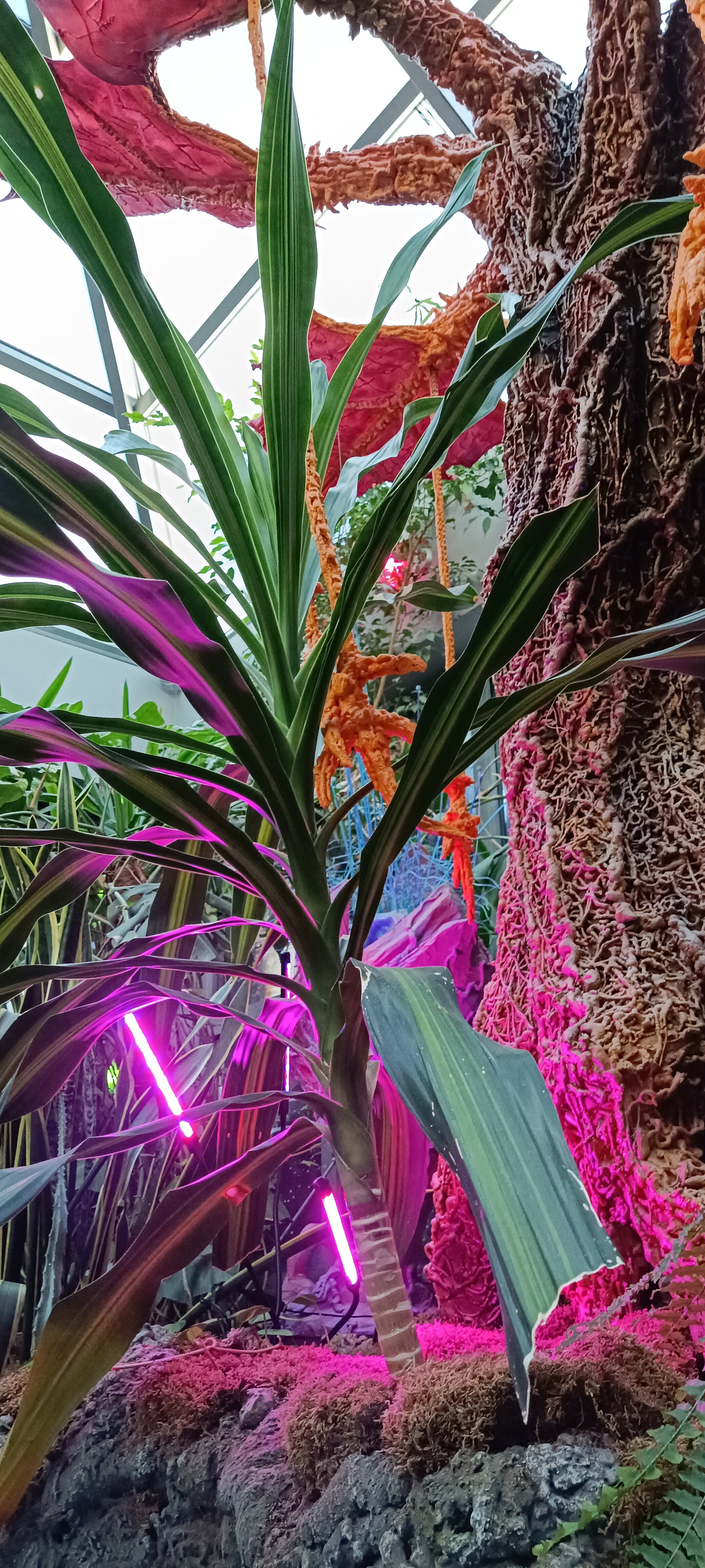 Фото Страж империи