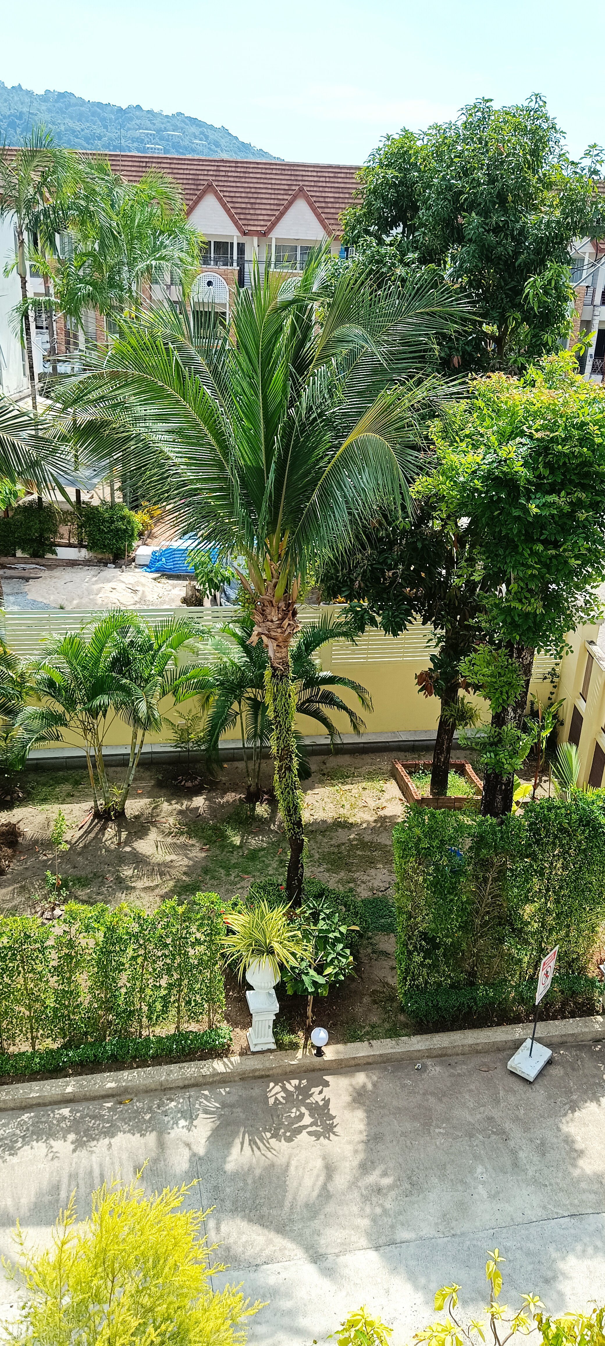 Фото The Orchid House