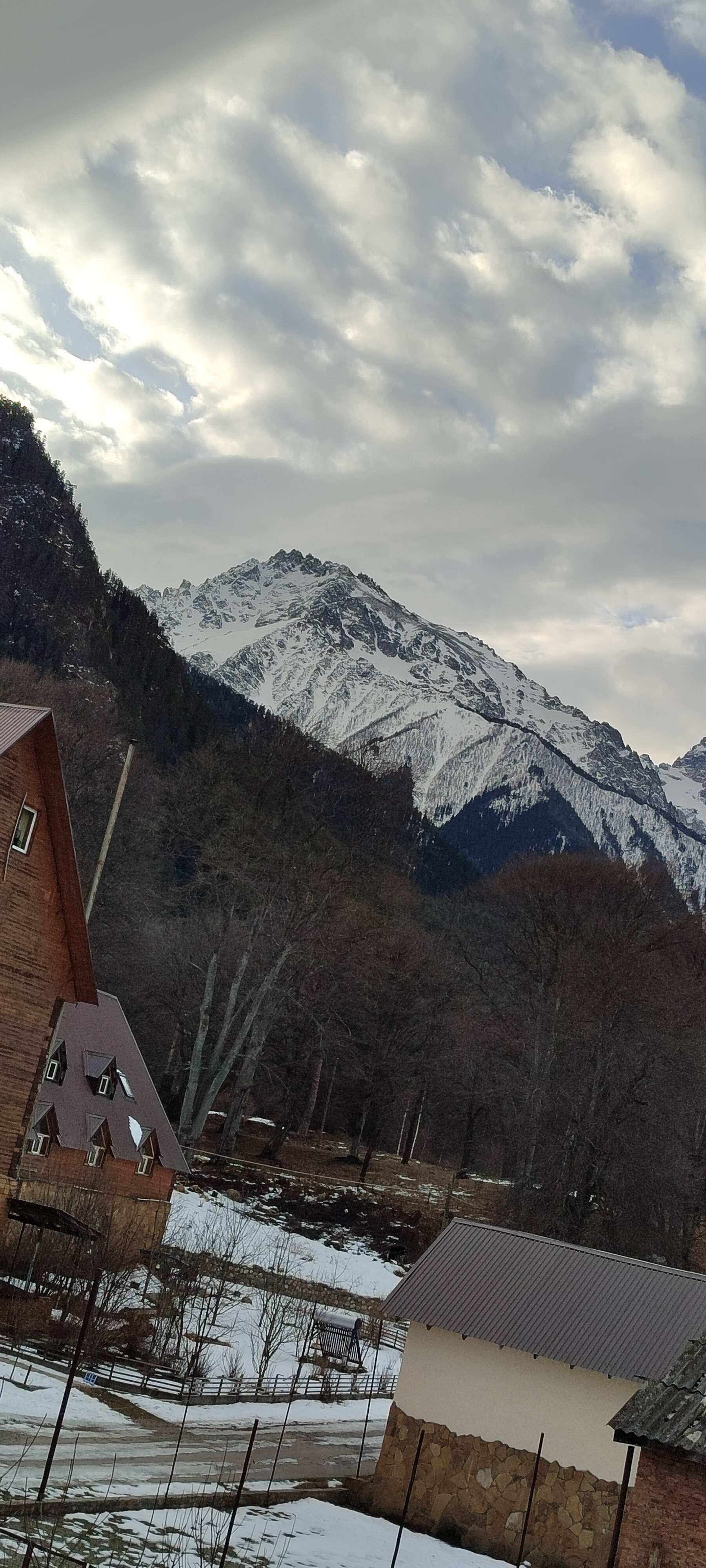 Фото У Заура