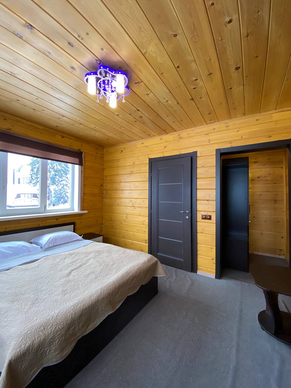 Фото Медведица