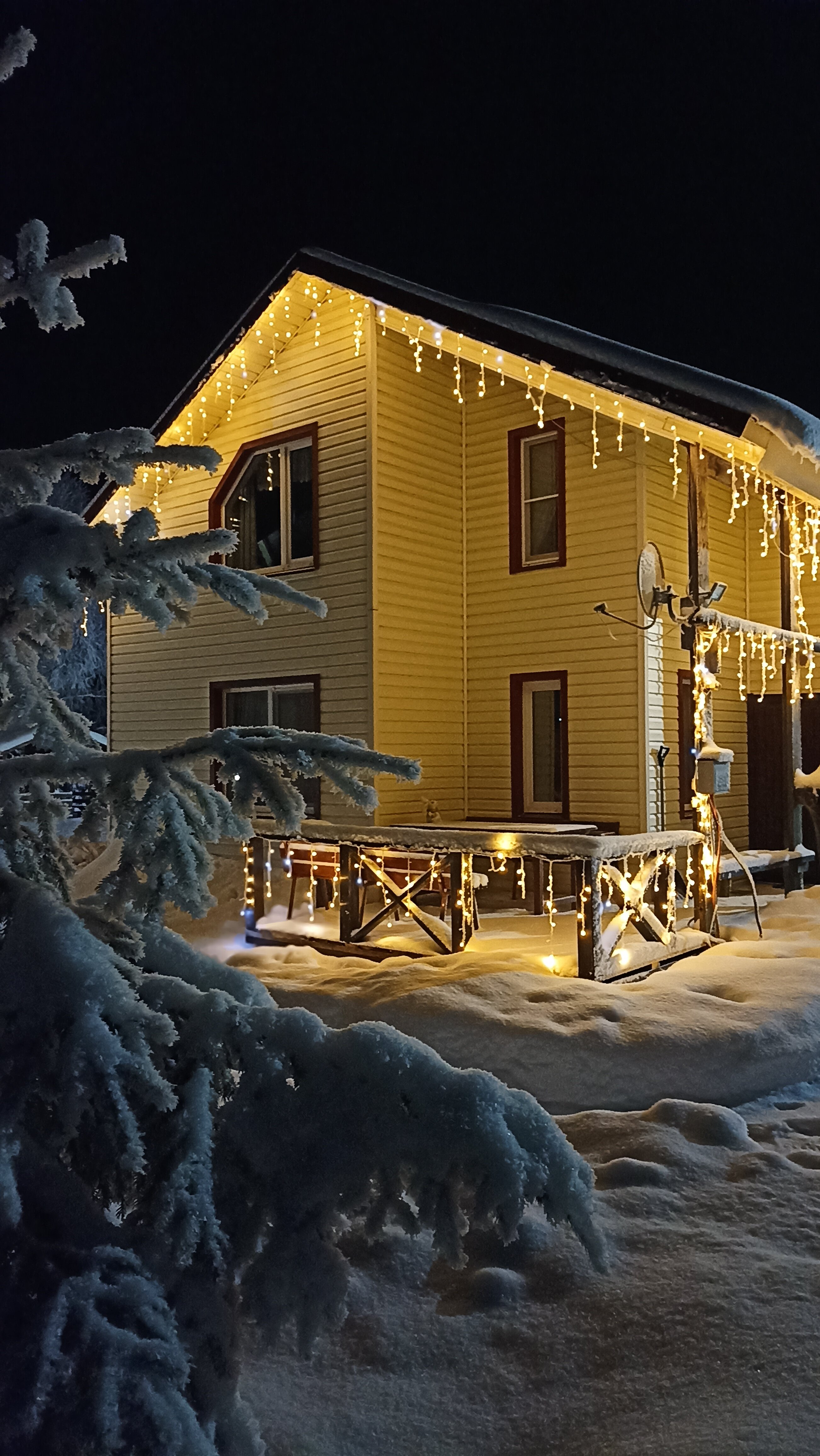 Фото Сепян Коди