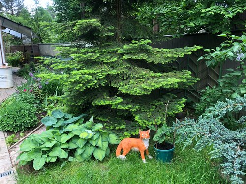 Апартаменты Теремок в Пушкино