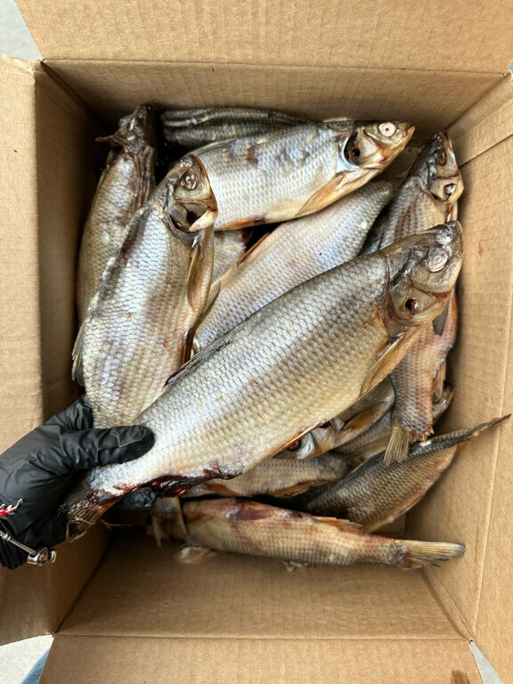 Pescados y mariscos Proizvodstvennaya kompaniya Serebryanaya rybka, rybny tsekh, , foto