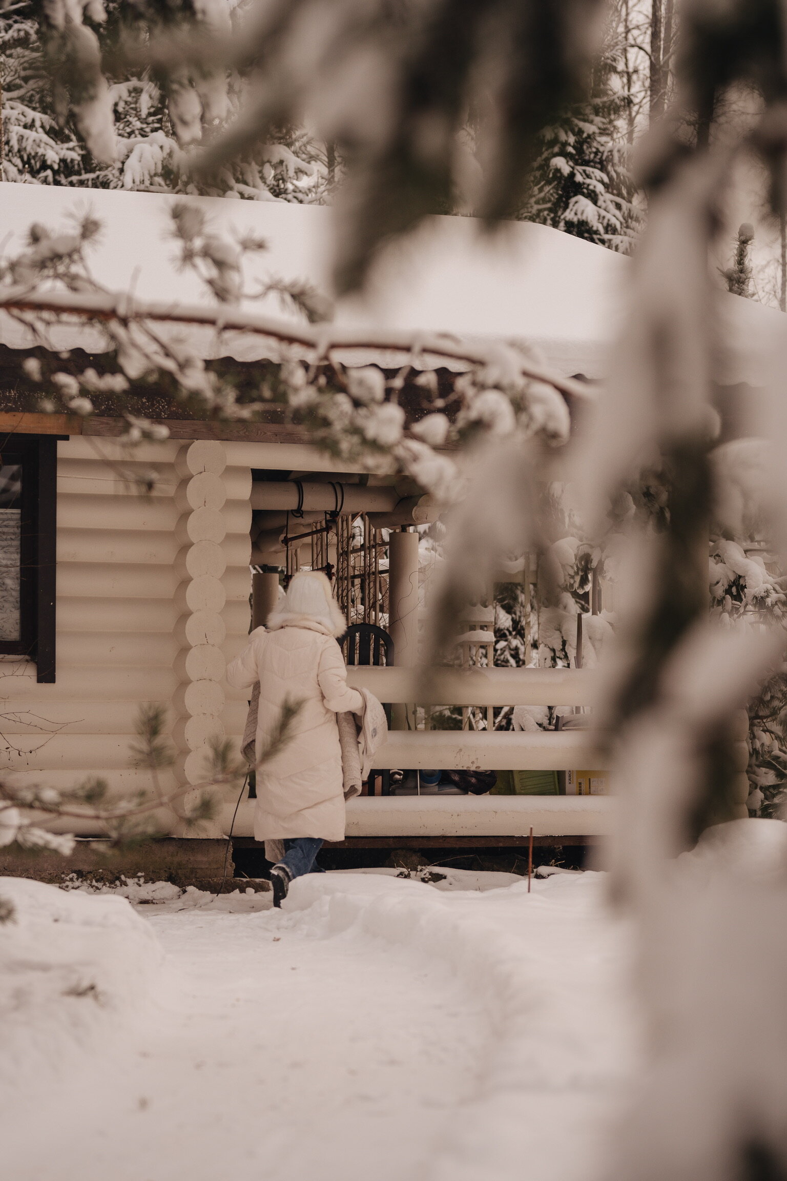 Фото Волшебный лес