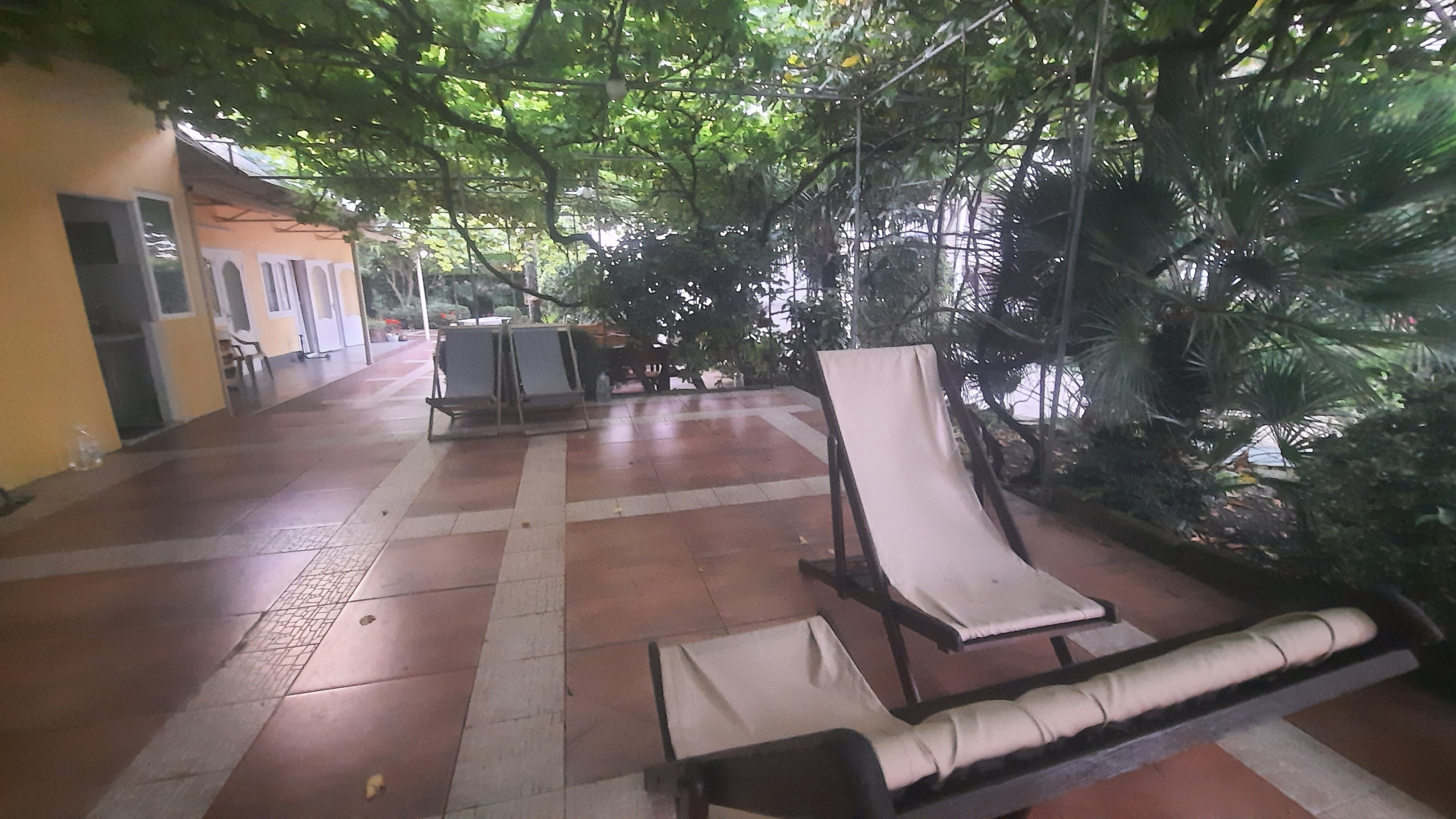 Фото Солоники