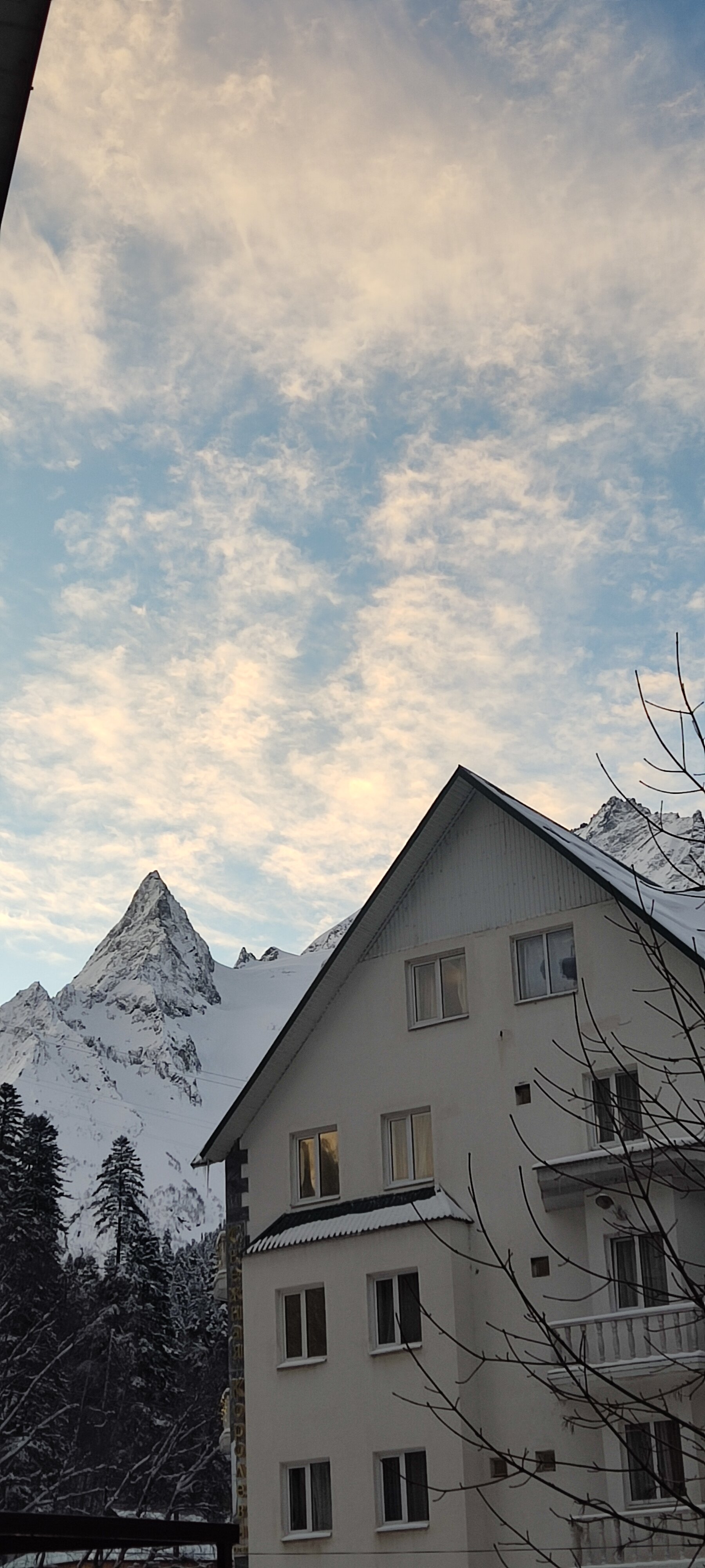 Фото Старый Клён