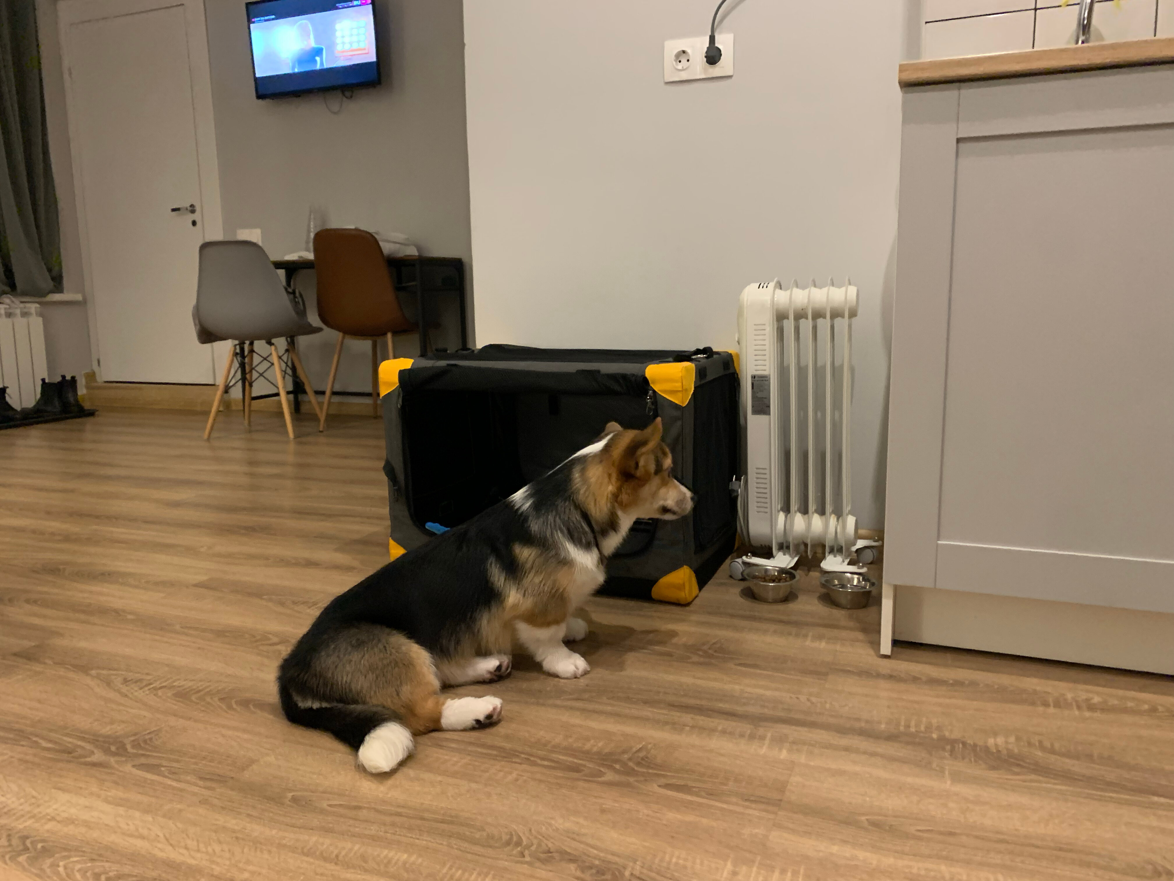 Фото Wh apartment