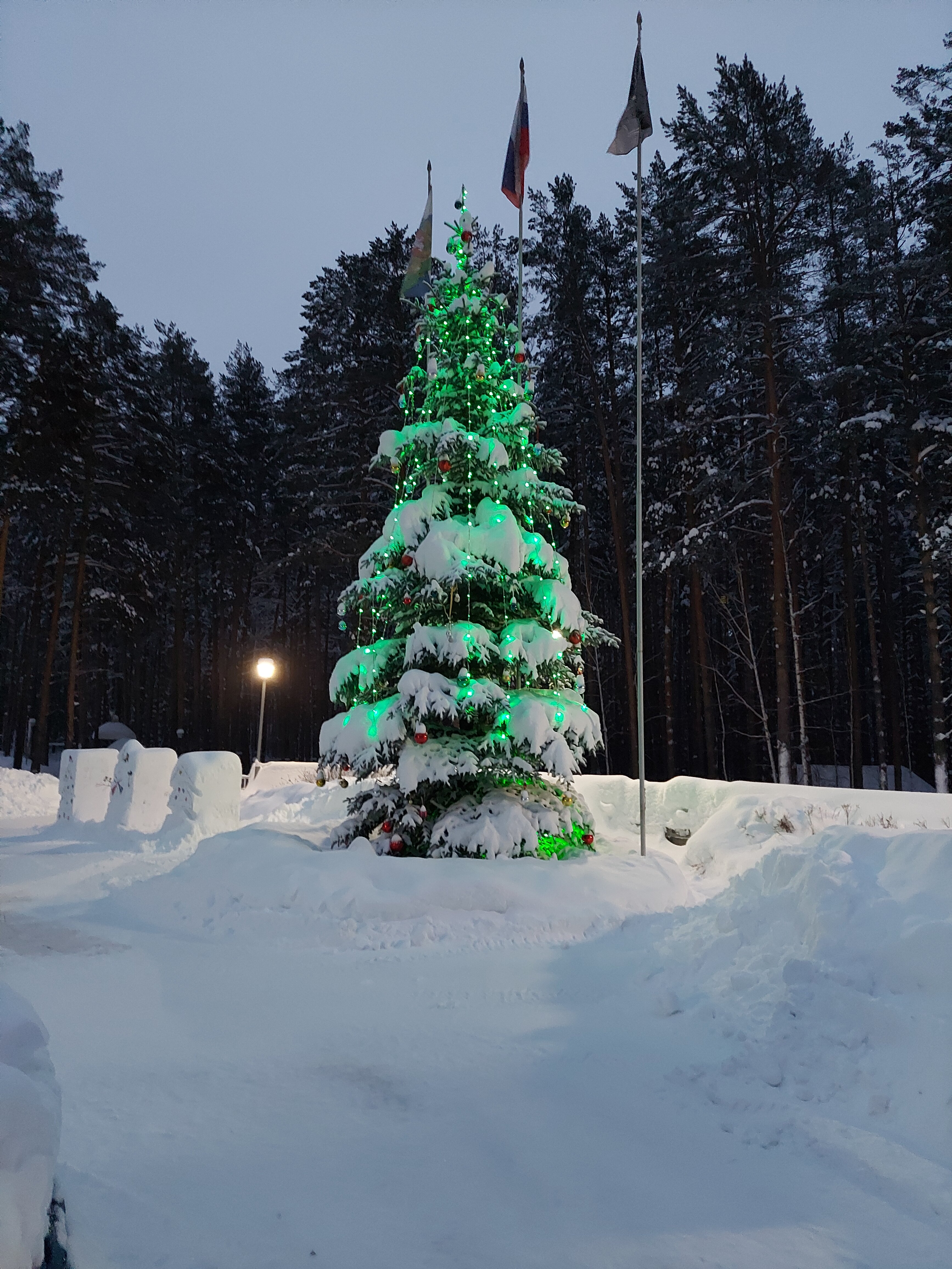 Фото Иволга