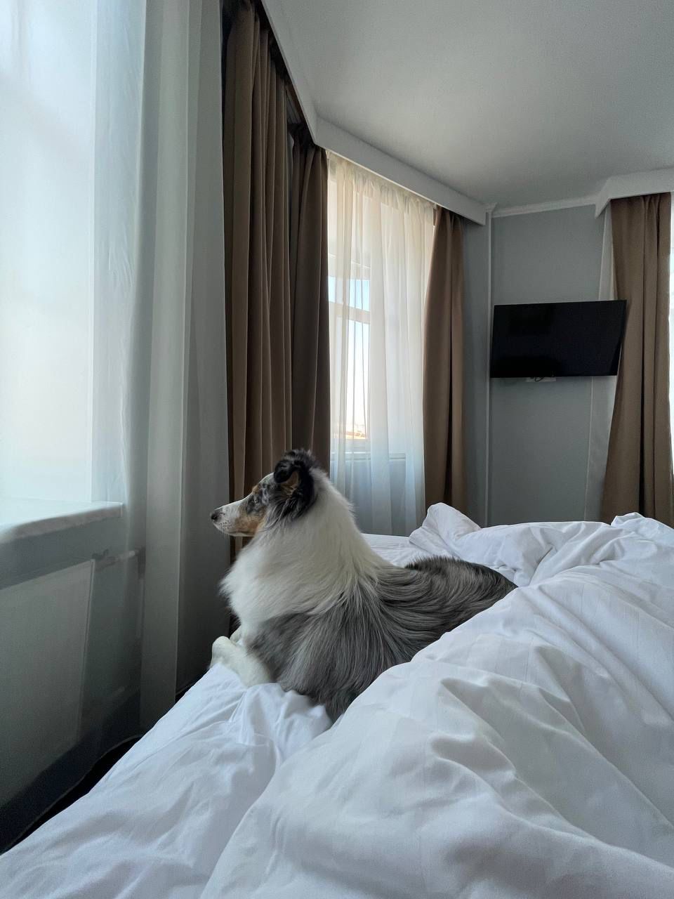 Фото Solo центр