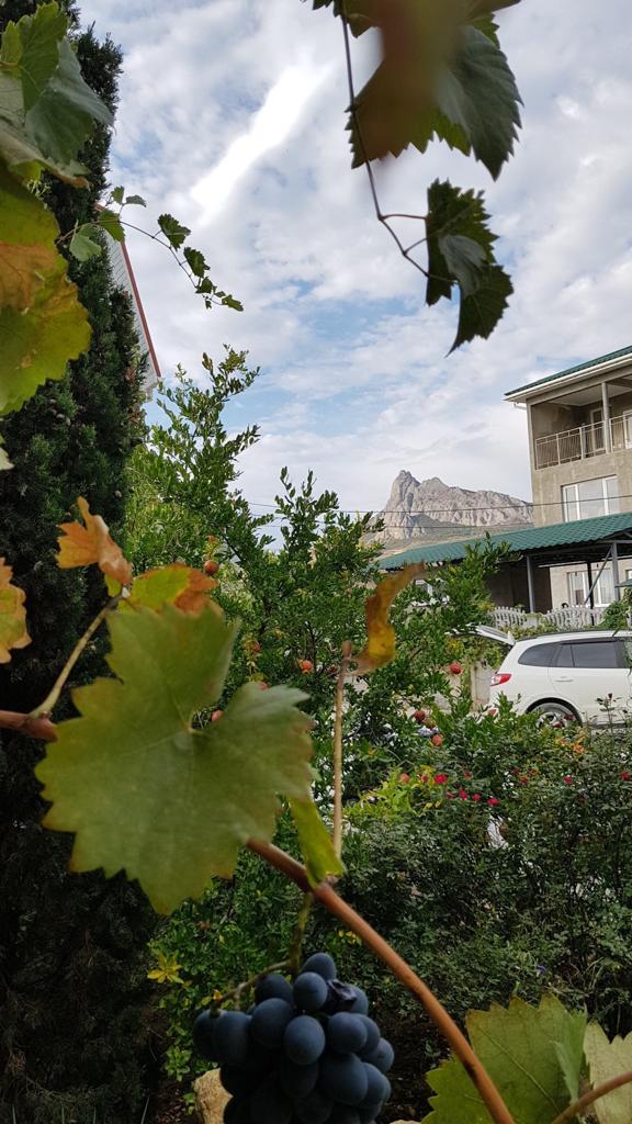 Фото Гостевой дом Роза