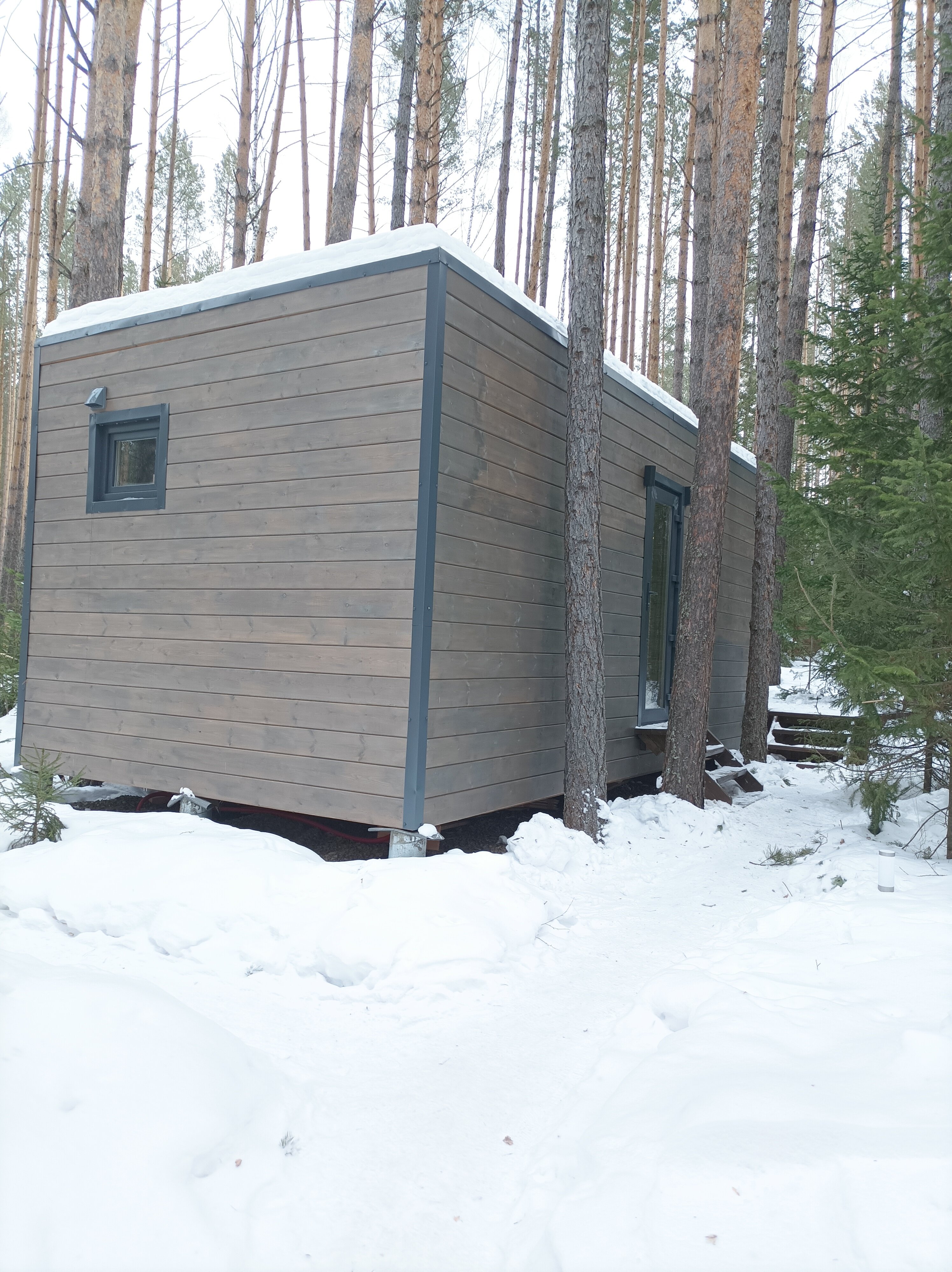 Фото Ёлки да Сосны