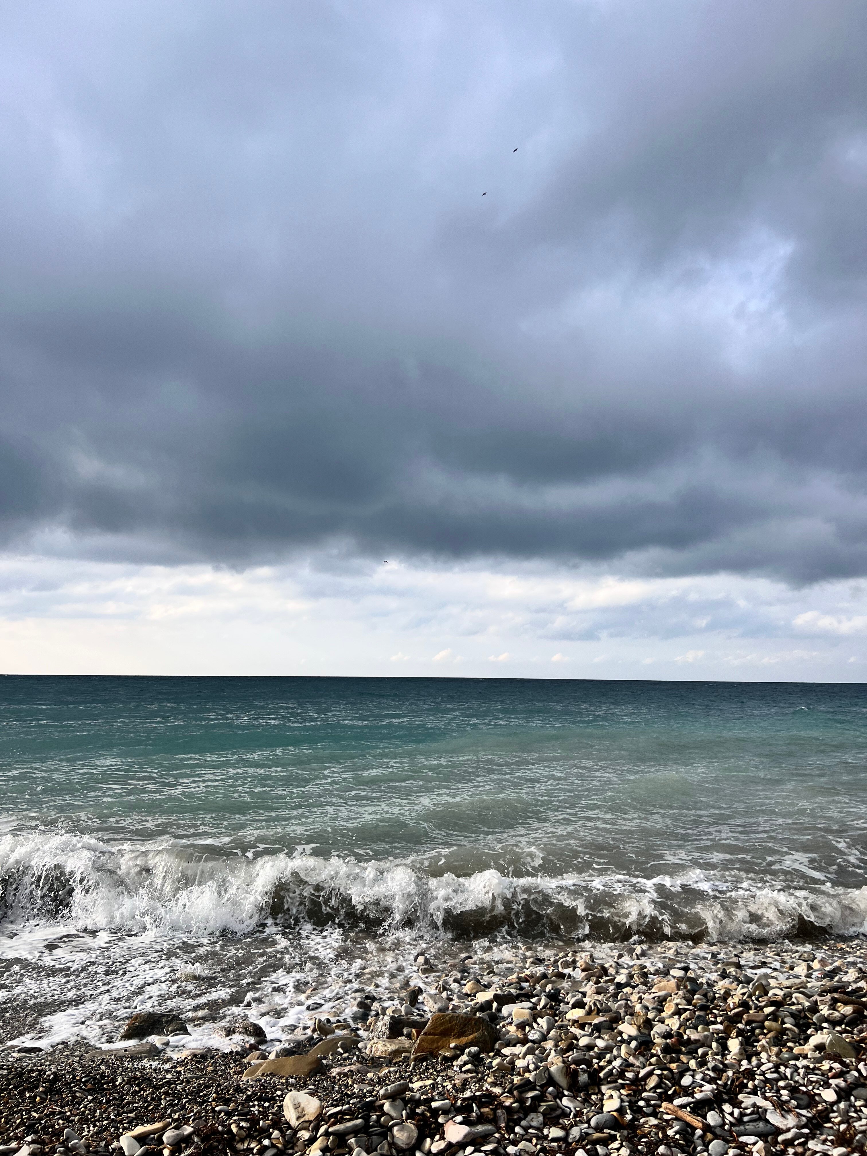 Фото Дом для отпуска Сосновый