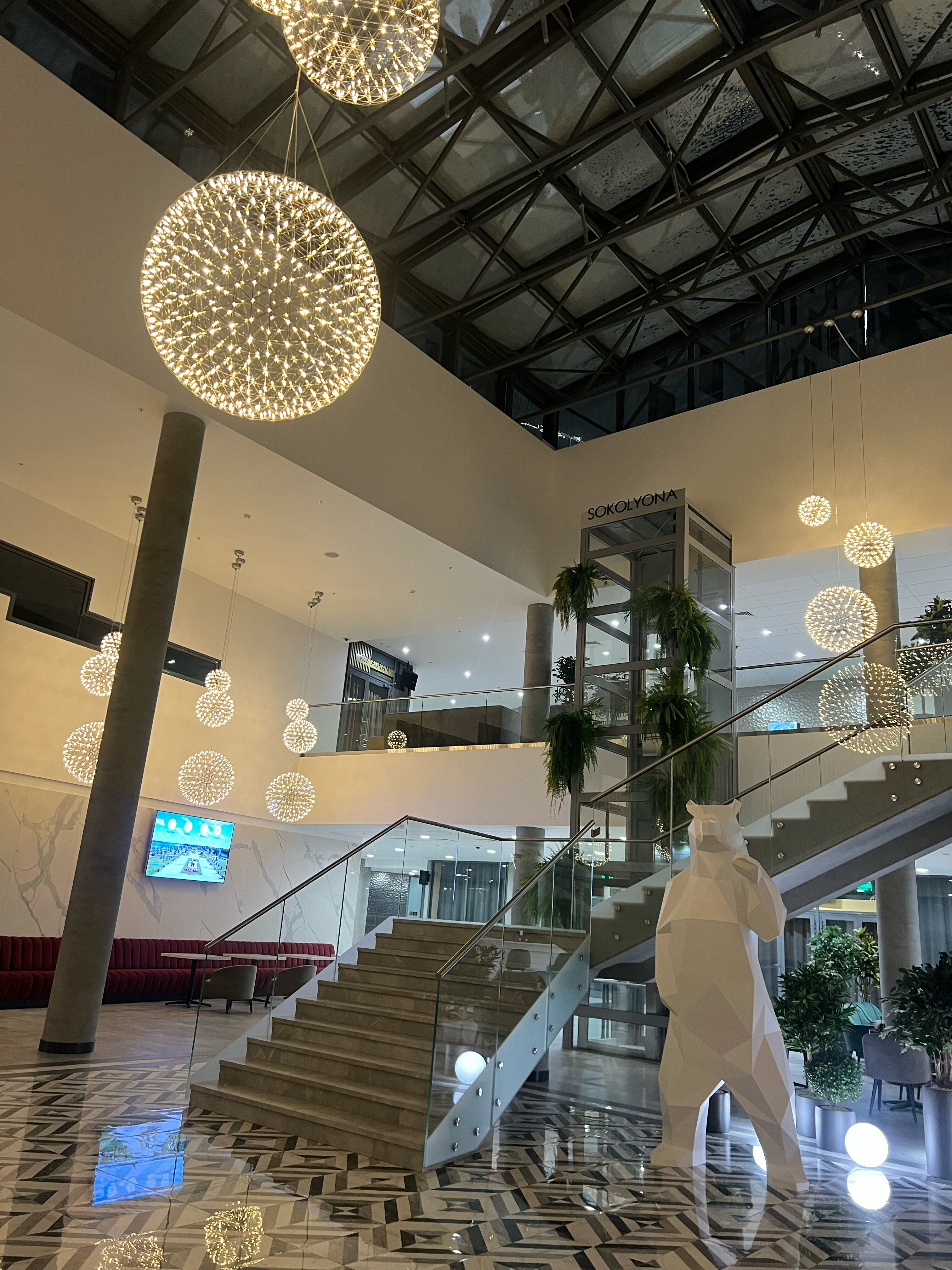 Фото Соколёна