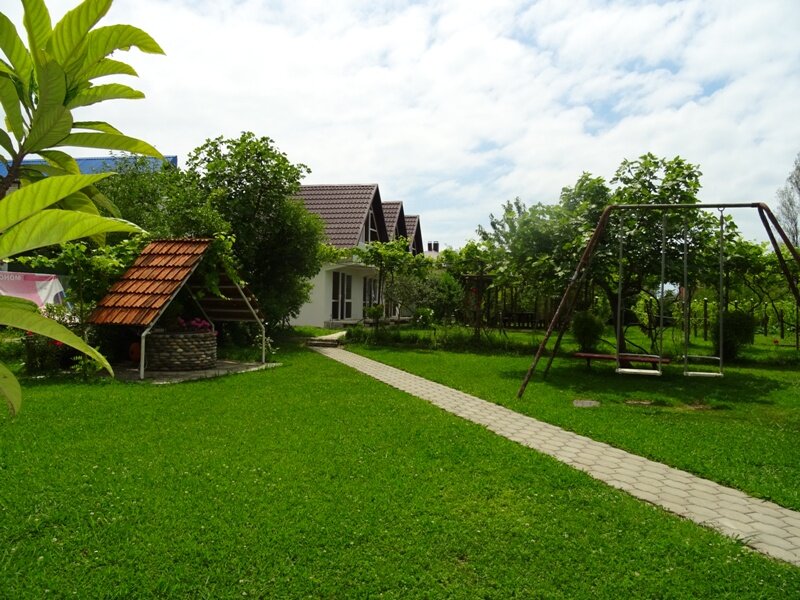 Фото Салангана