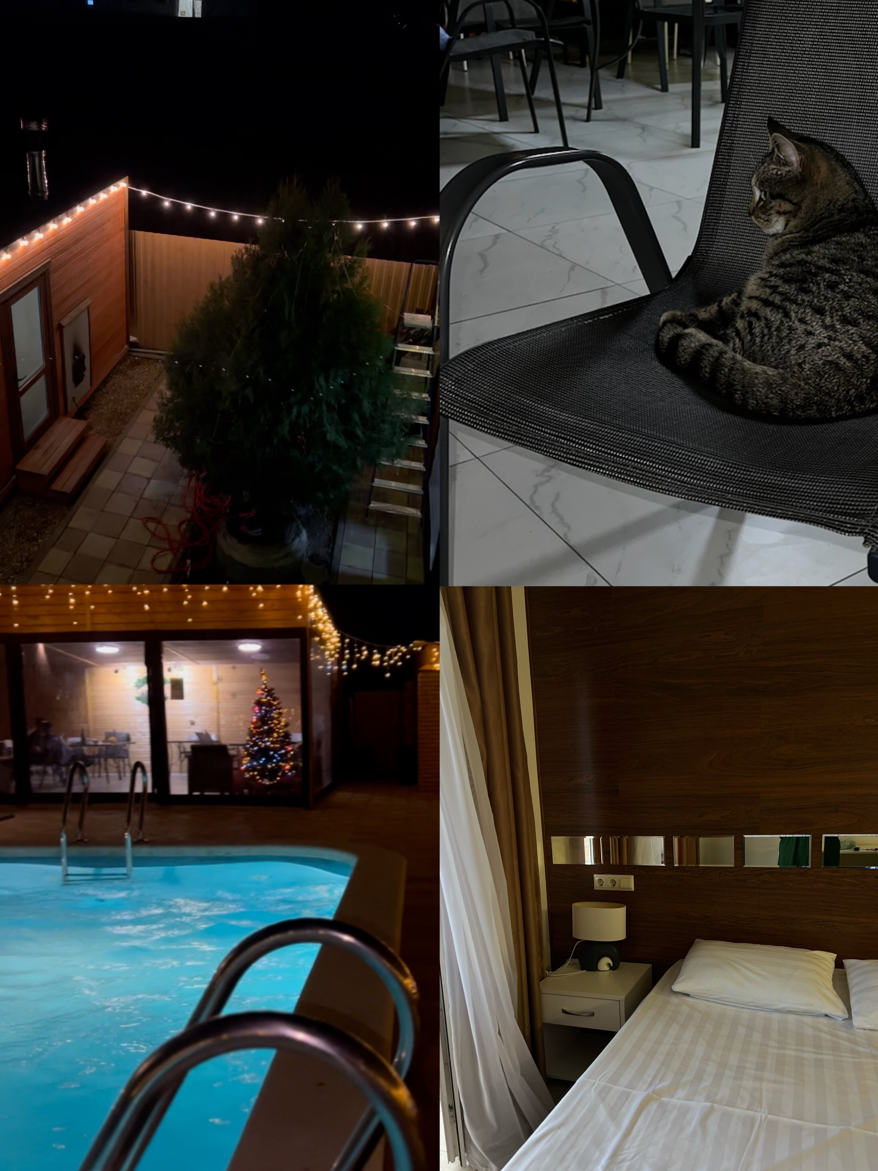 Фото Green Elephant