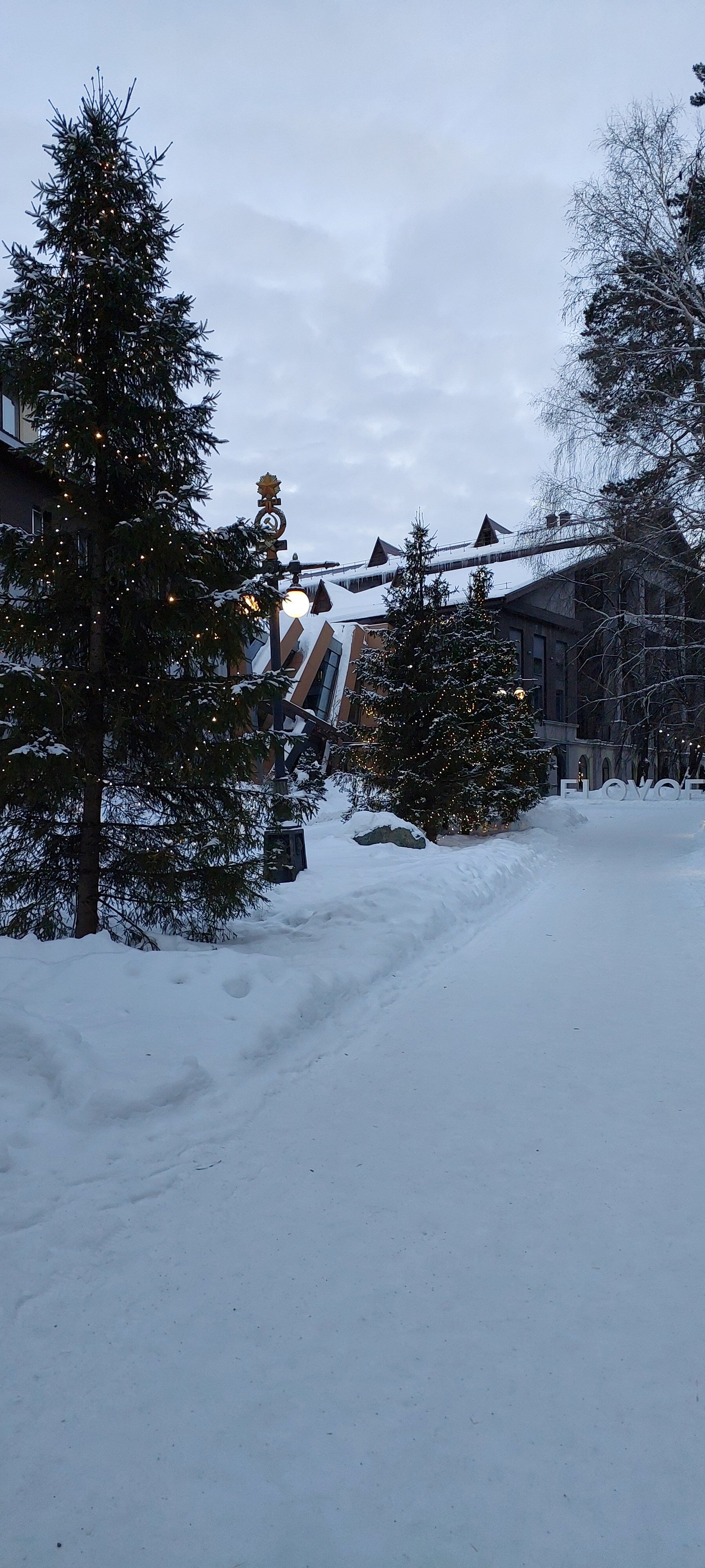 Фото 4 Апельсина