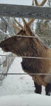 Prirodny park Zhivyye almazy Yakutii (Mirny pereulok, 14), parque forestal