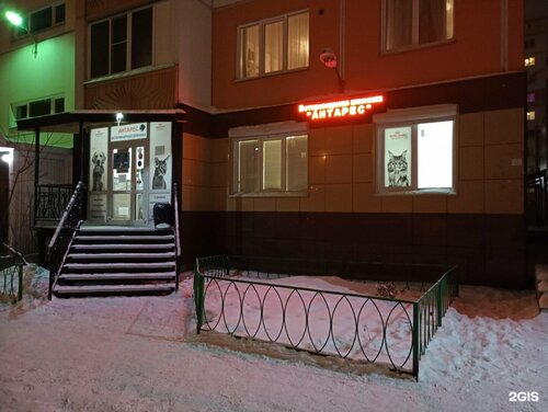 Ветеринарная клиника Антарес, Новосибирск, фото