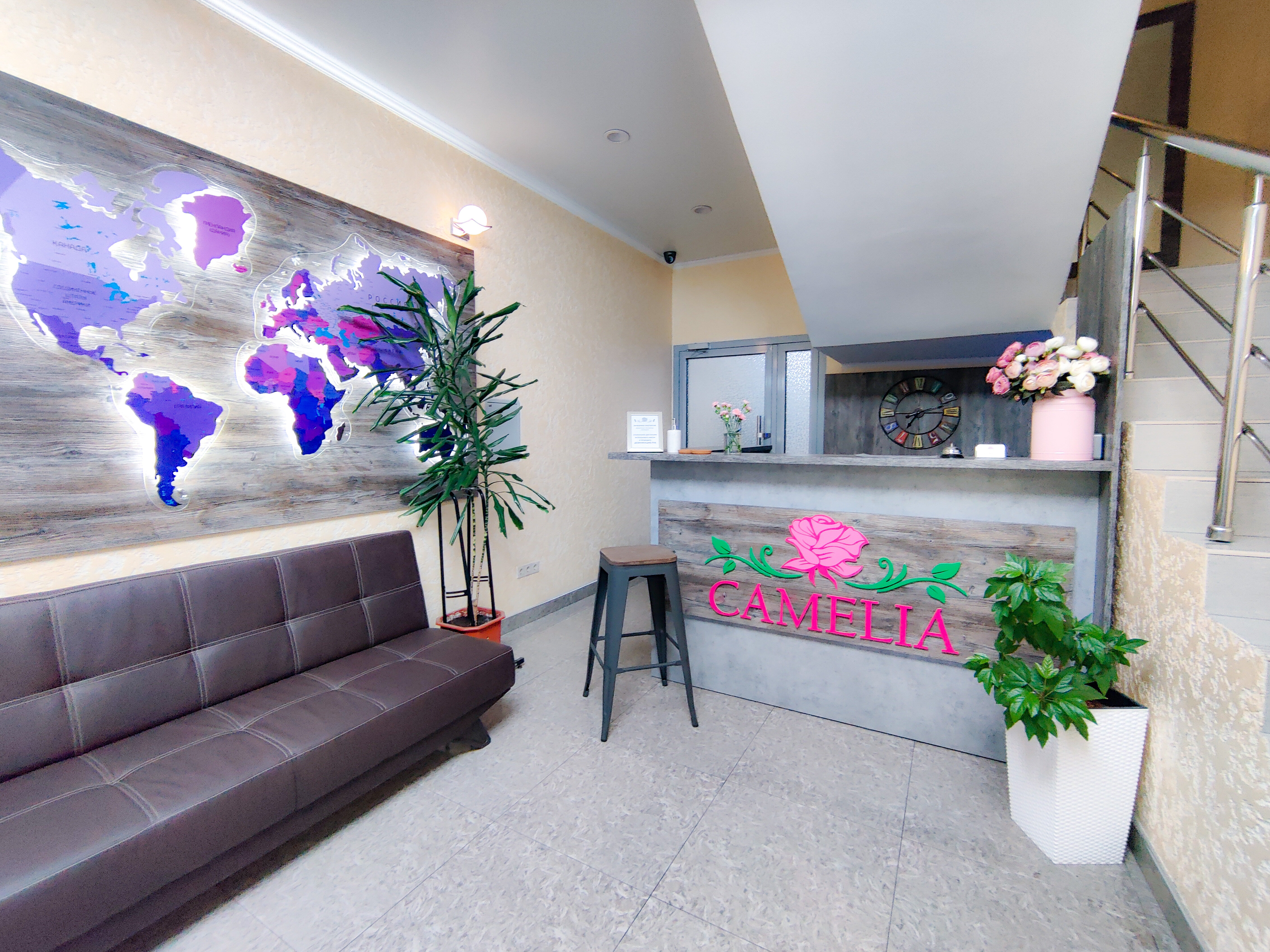 Фото Камелия