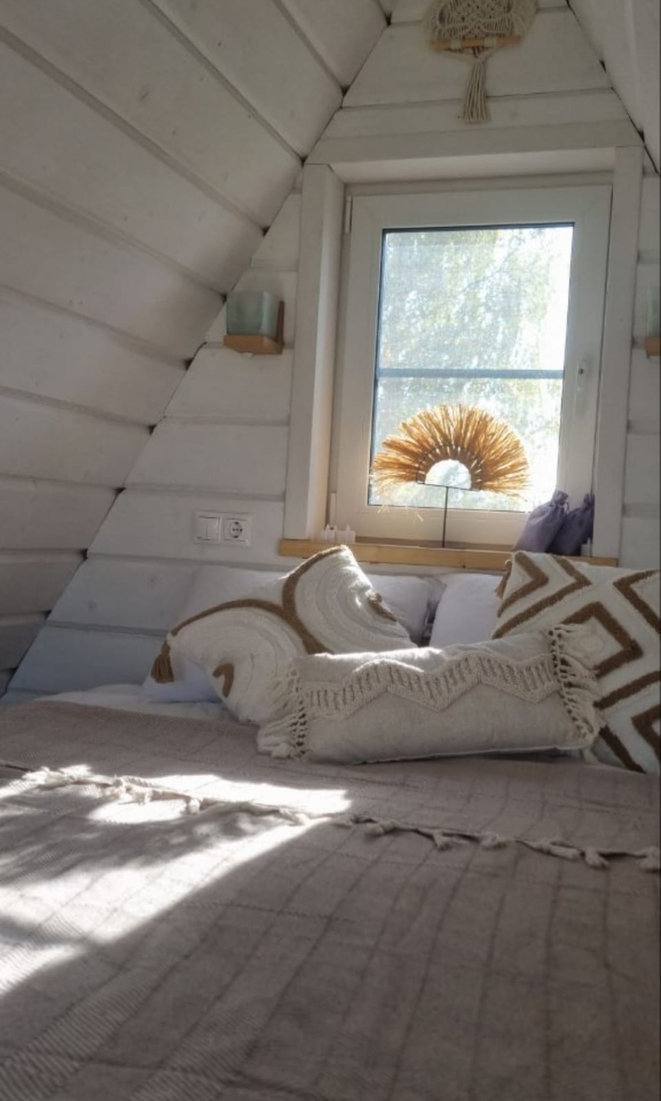 Фото Афрейм Бережок