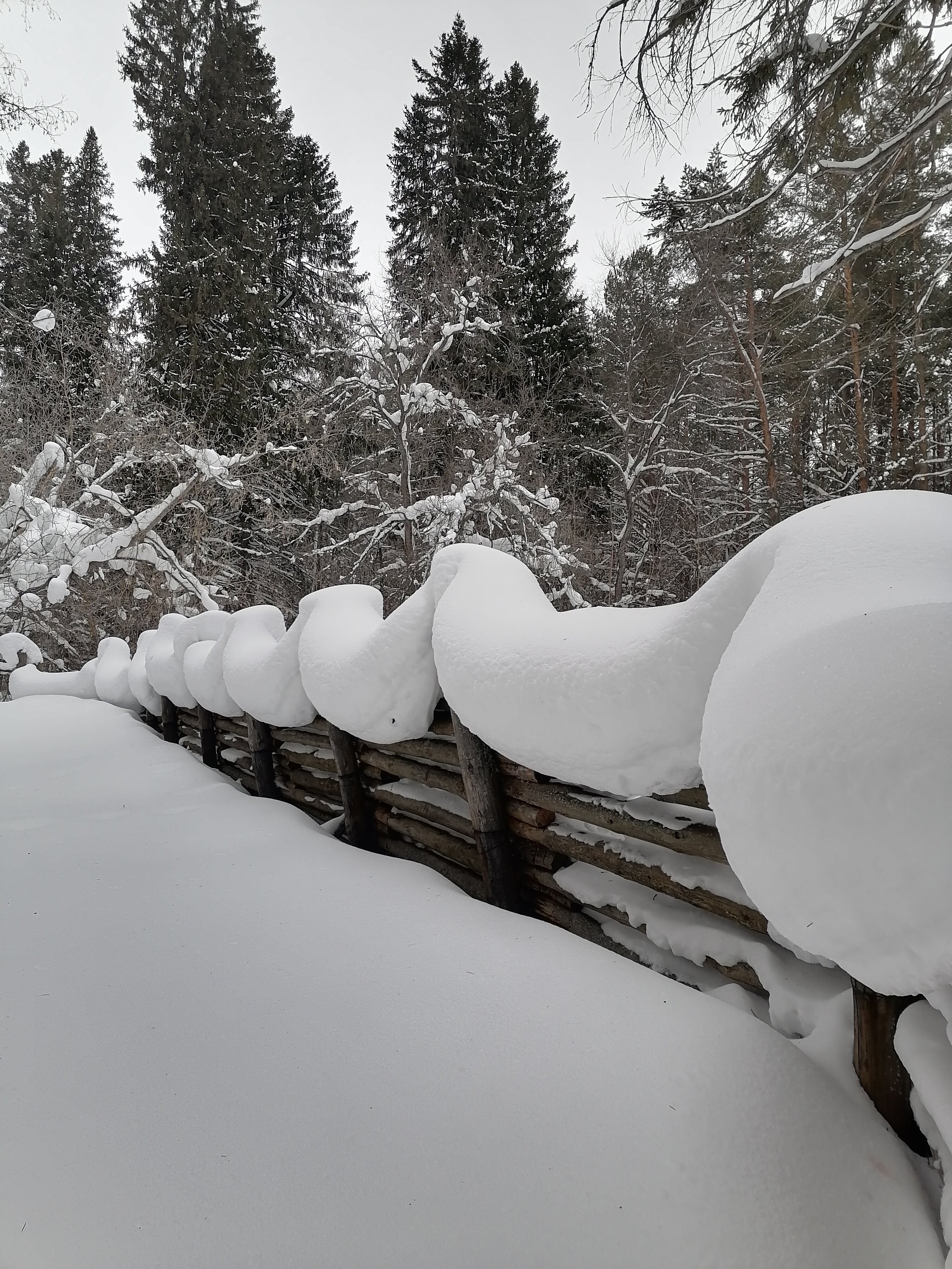 Фото Ромашкино