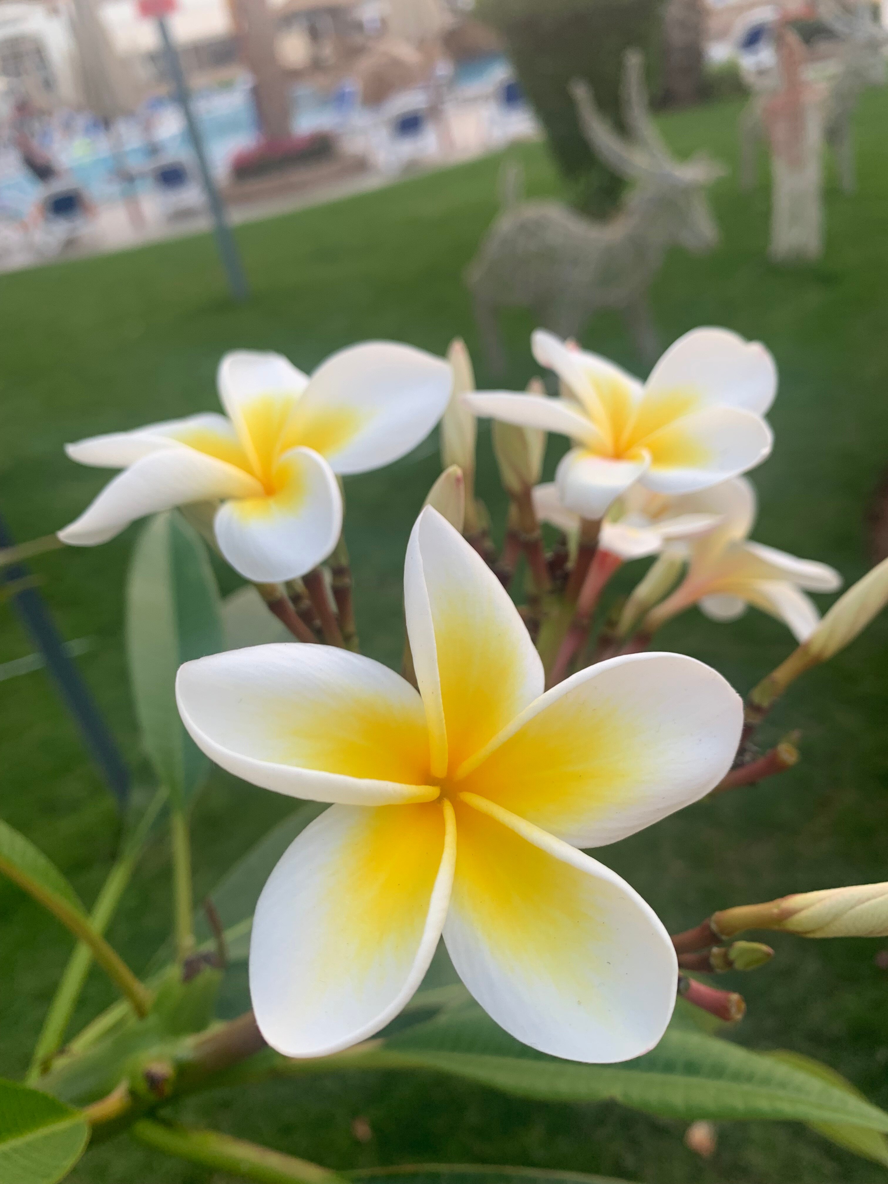 Фото Xperience St. George Homestay