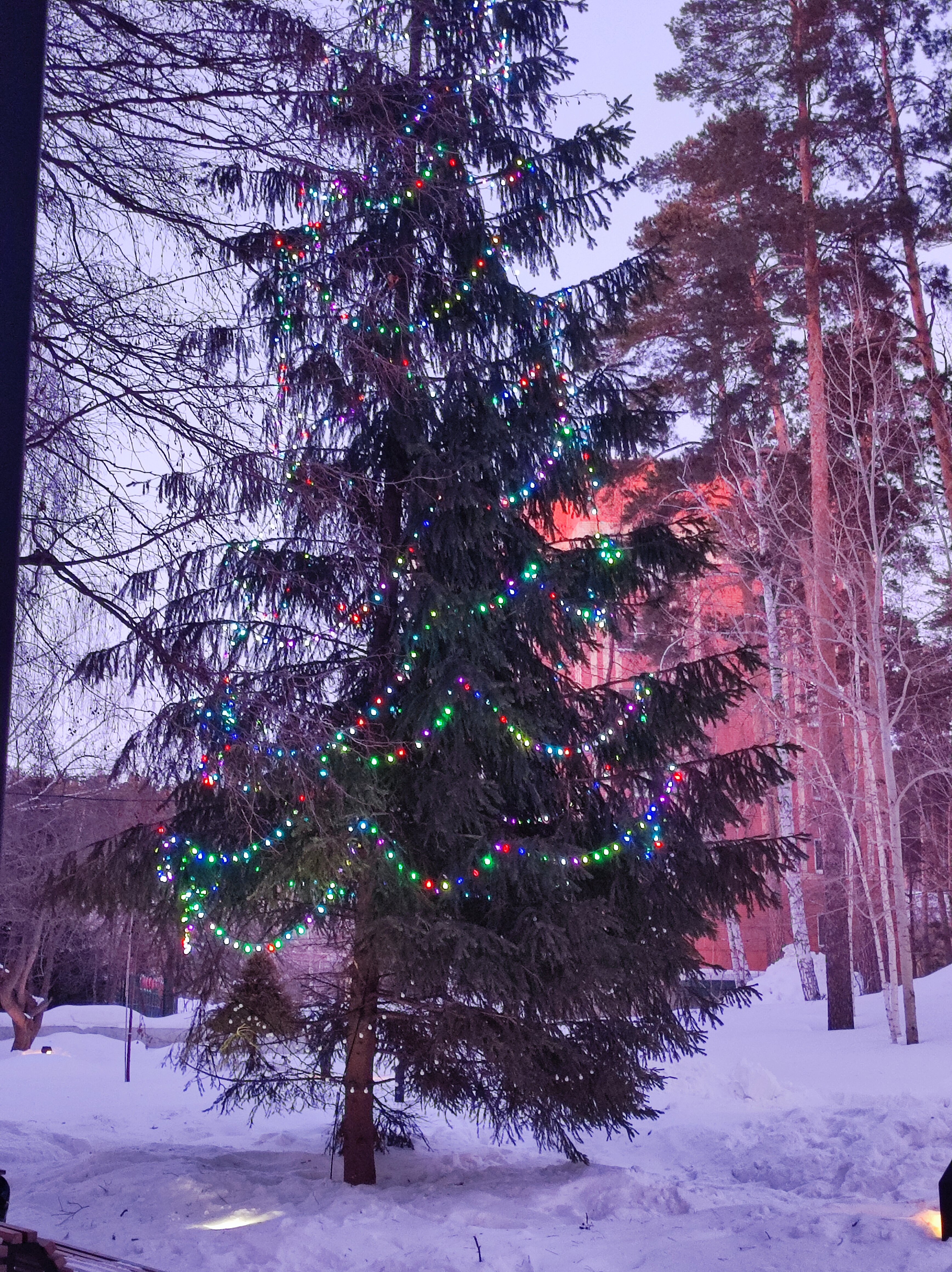 Фото 4 Апельсина