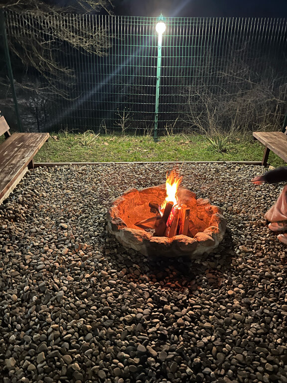 Фото Стрижи