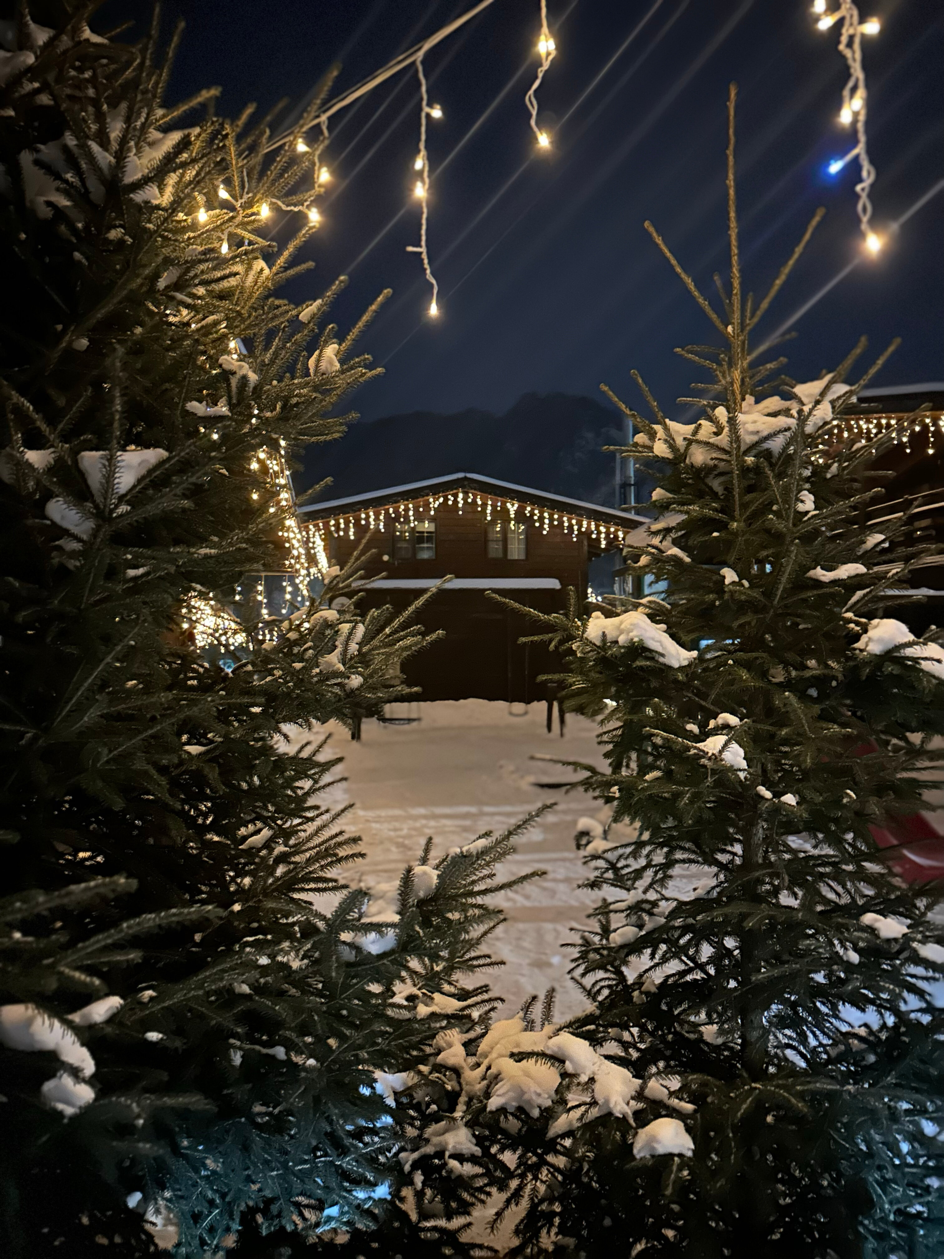 Фото Медведь и Ягодка