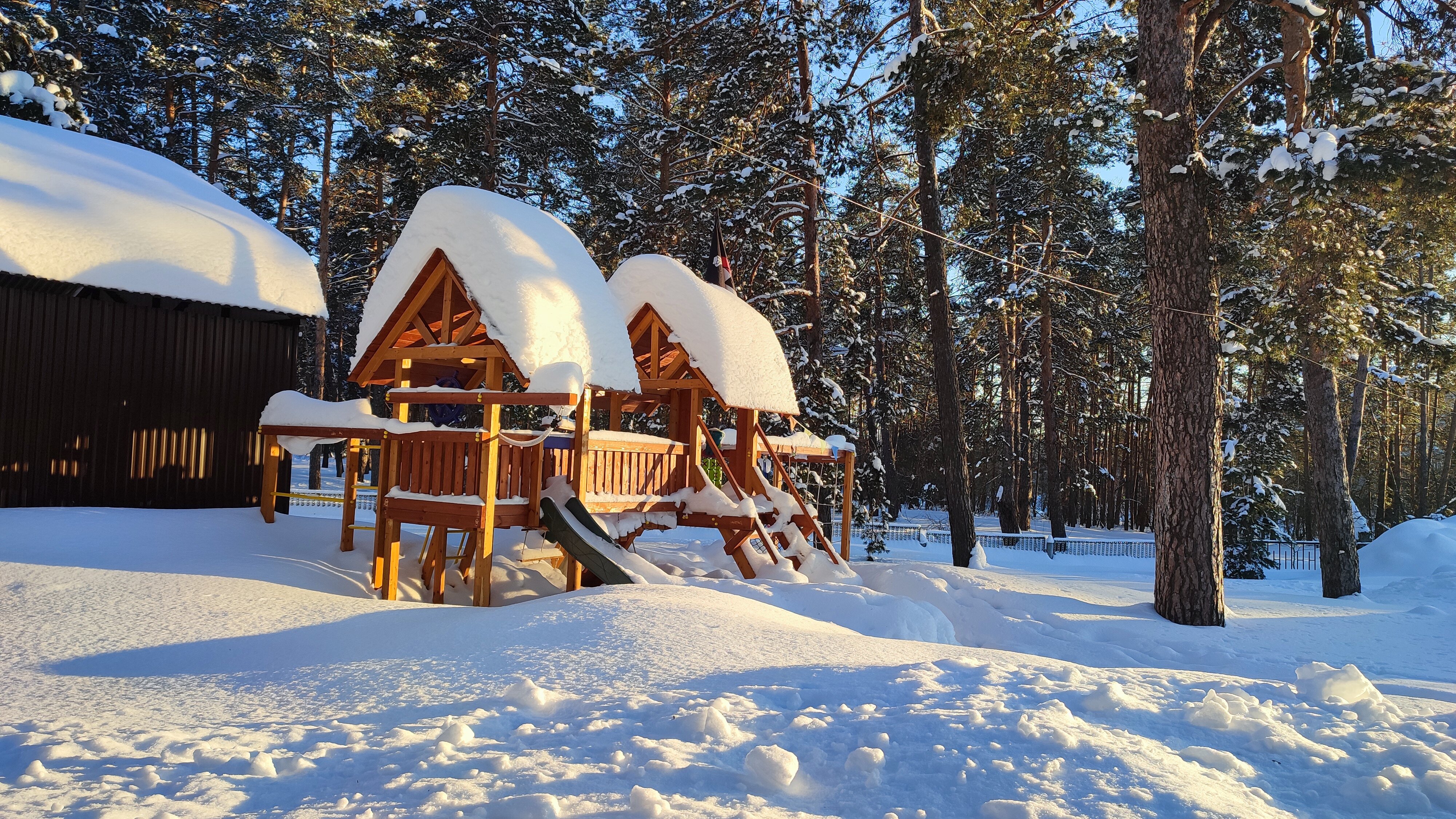Фото Сосновый бор