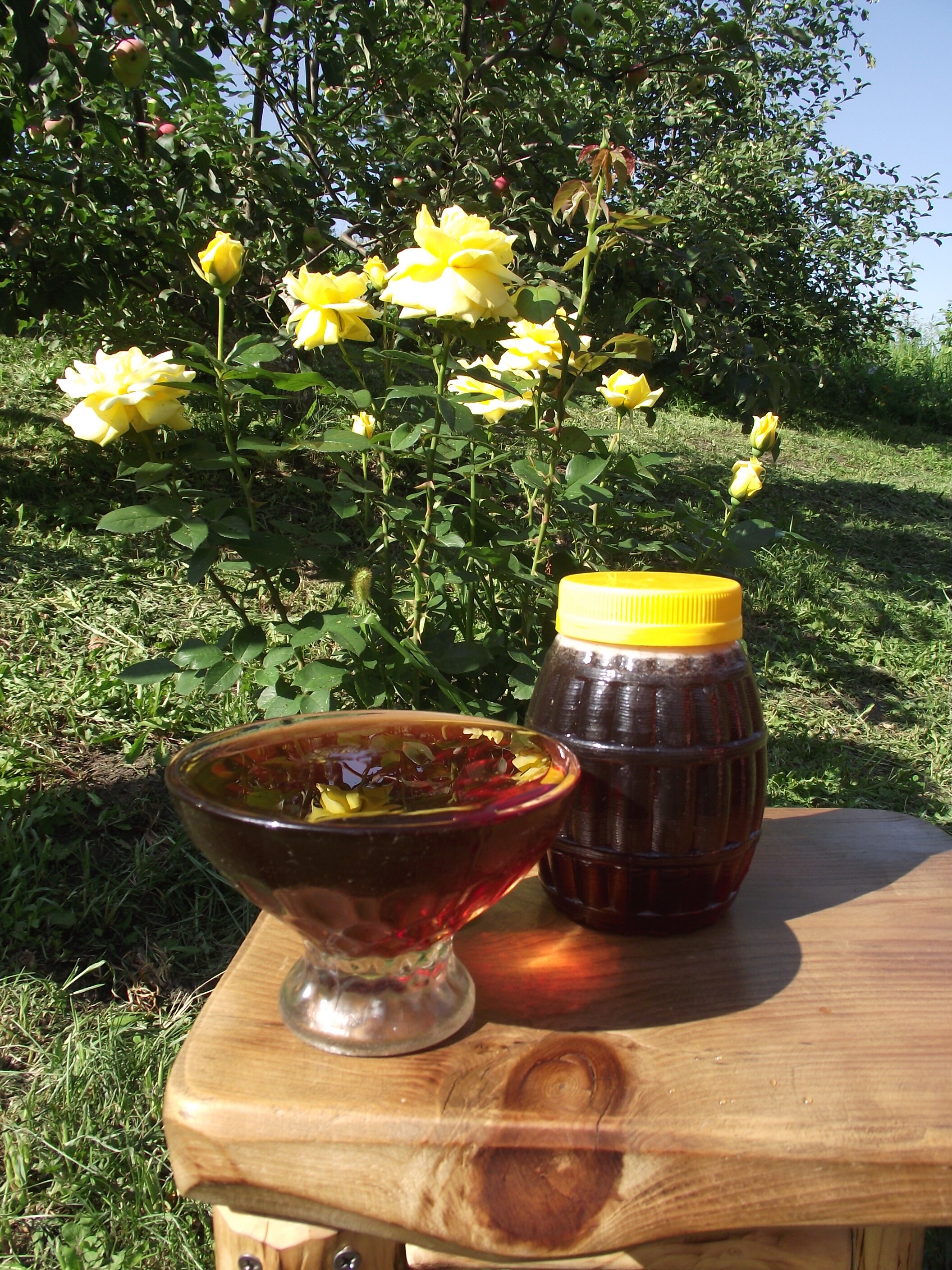 Фото Тихий Лог