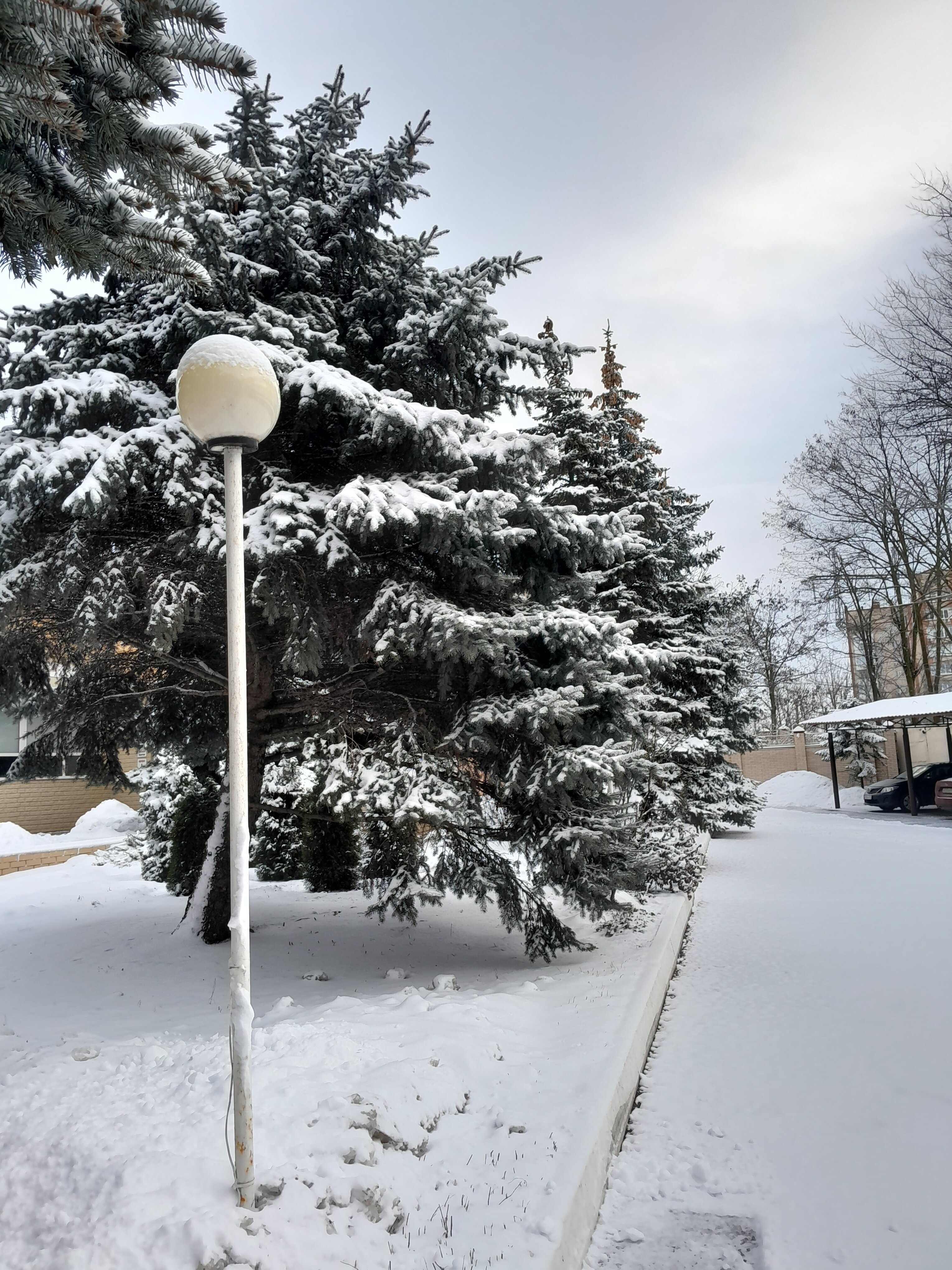 Фото Оптимист