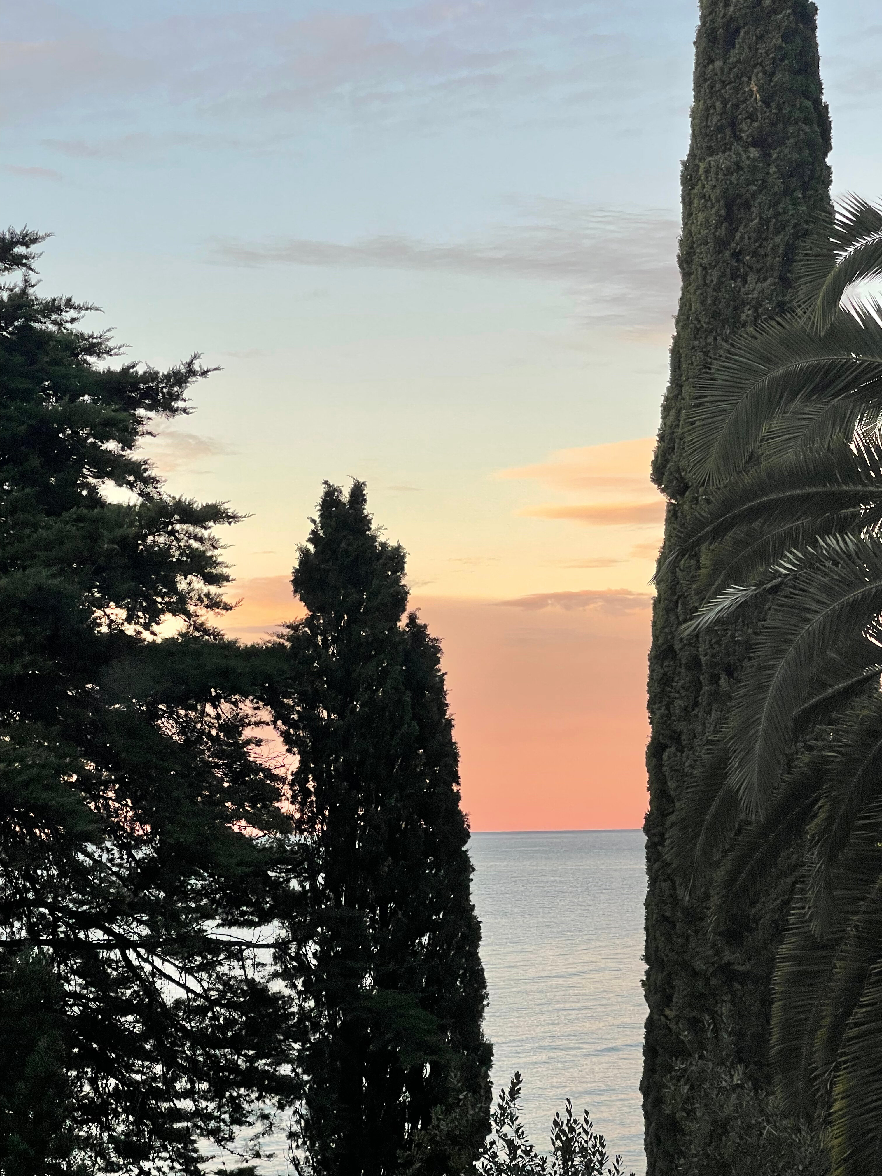 Фото Amra Park-hotel & SPA