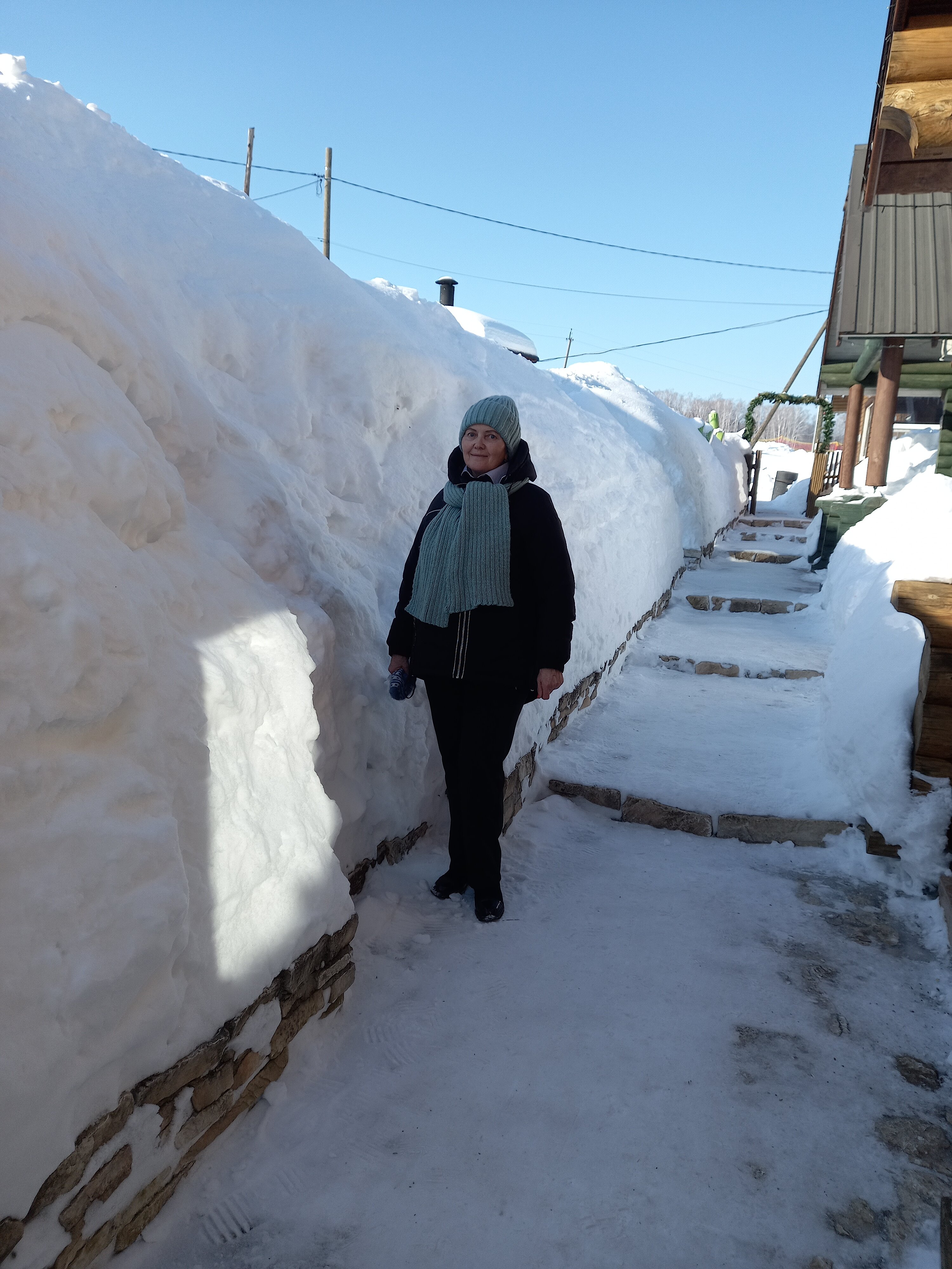 Фото Лесная сказка