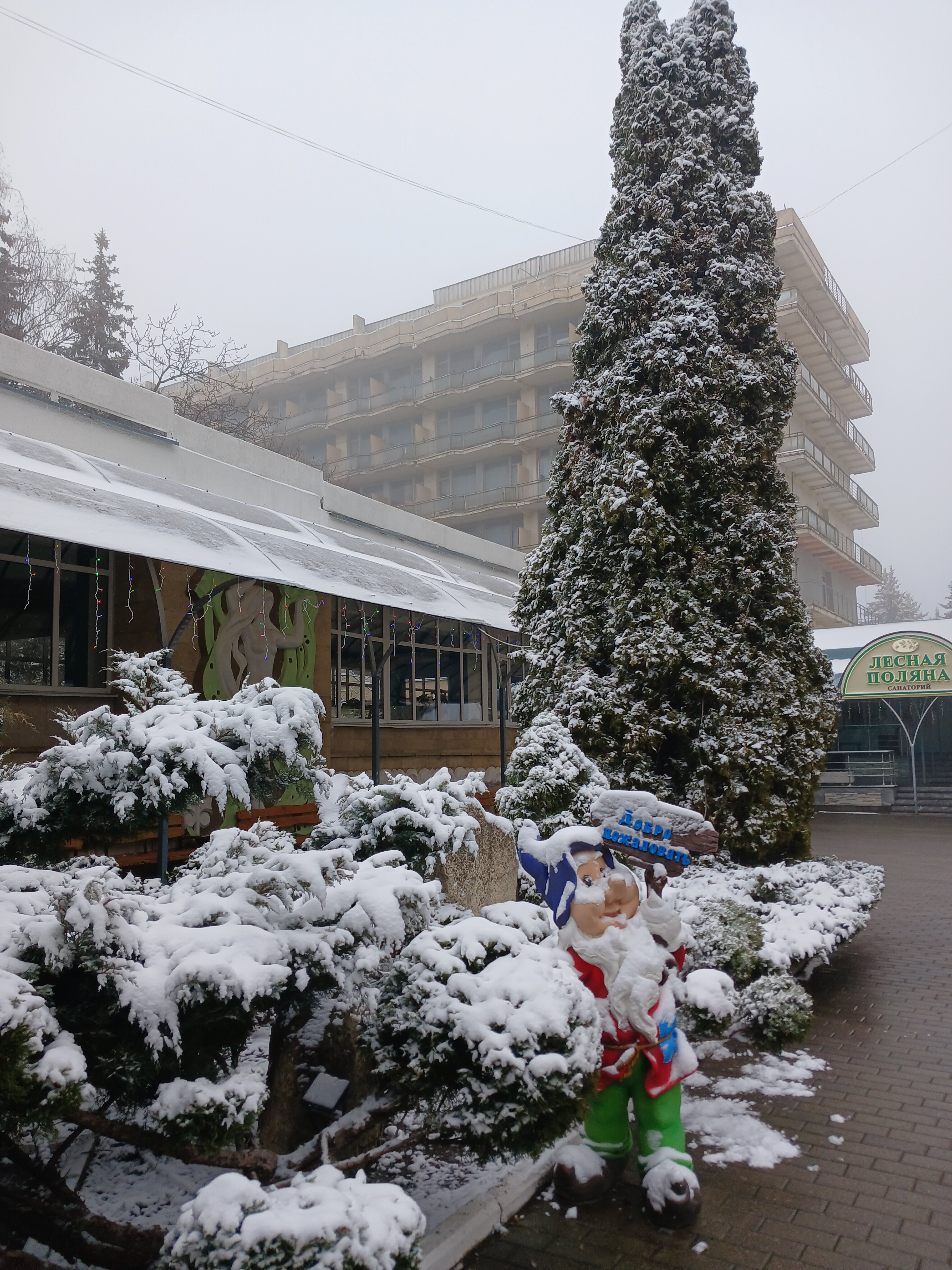 Фото Лесная поляна