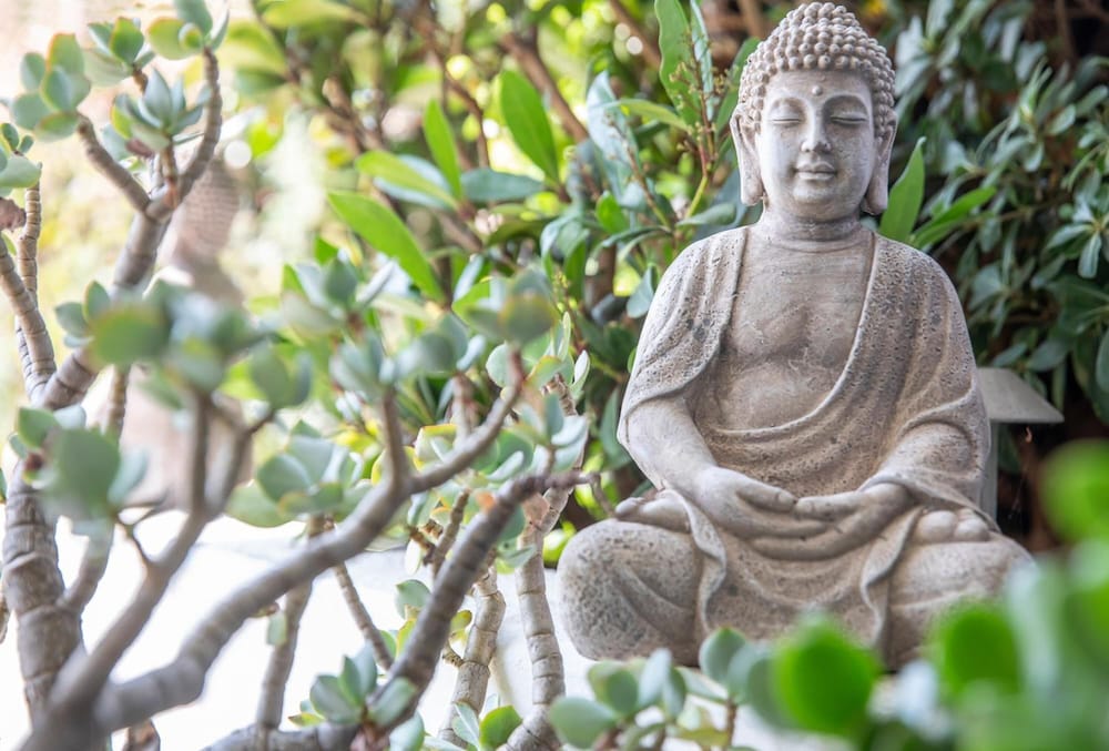 Фото Smart-Hotel Minusio