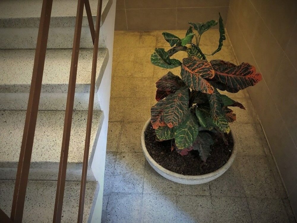 Фото Apartamento EN el centro comercial de Platja d’Aro