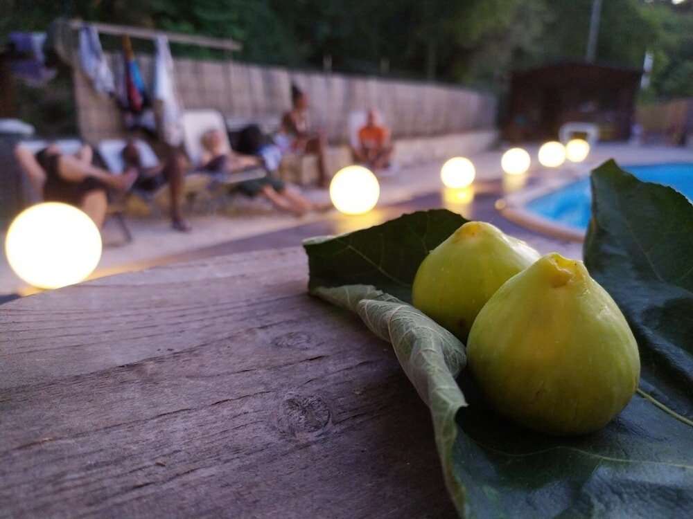 Фото Alloggio Rurale