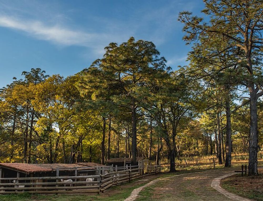 Фото Abba Eco Adventure