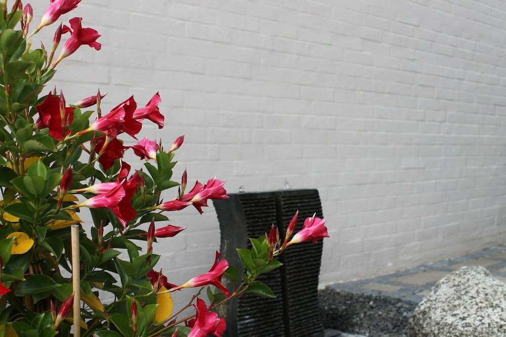 Фото Amalie B&b Apartments