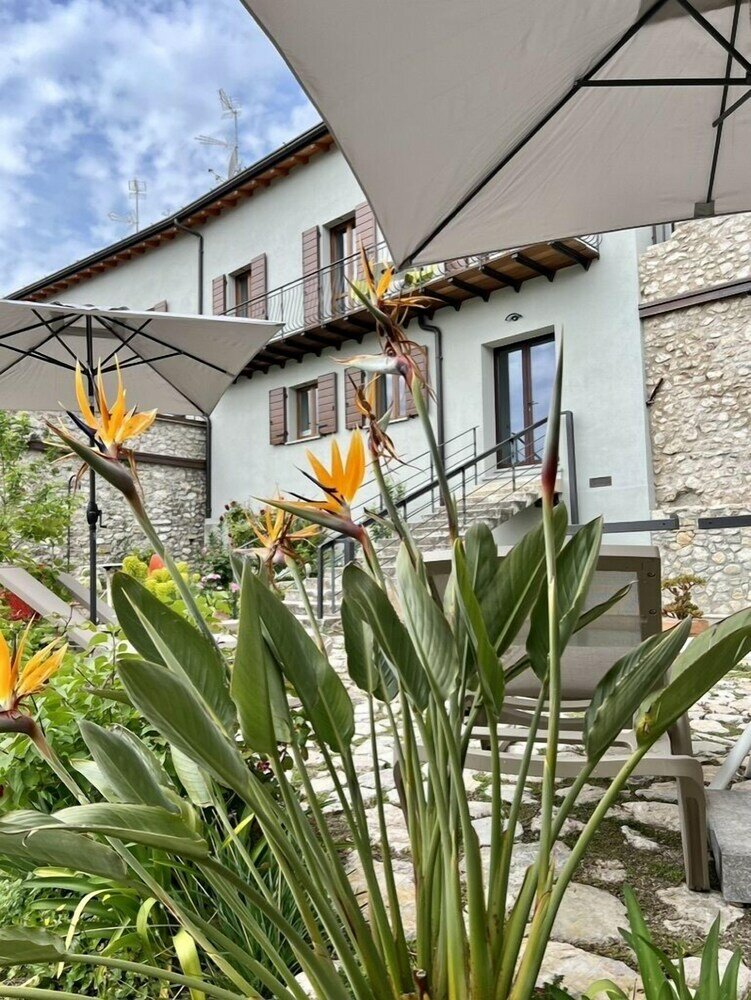 Фото Villa del Lis