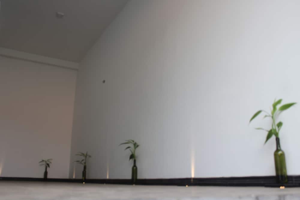 Фото Surf n Summer